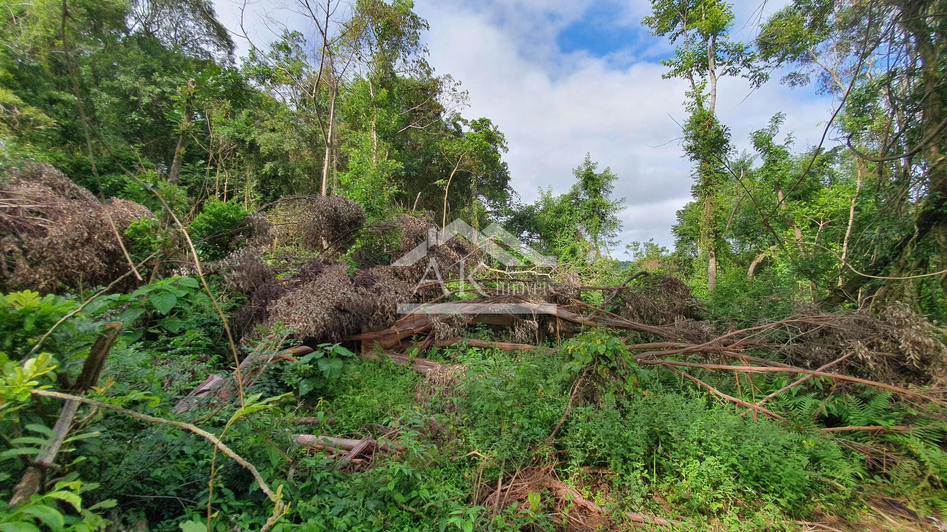 Área de Terras para Investimento à Venda em Nova Petrópolis na Serra Gaúcha