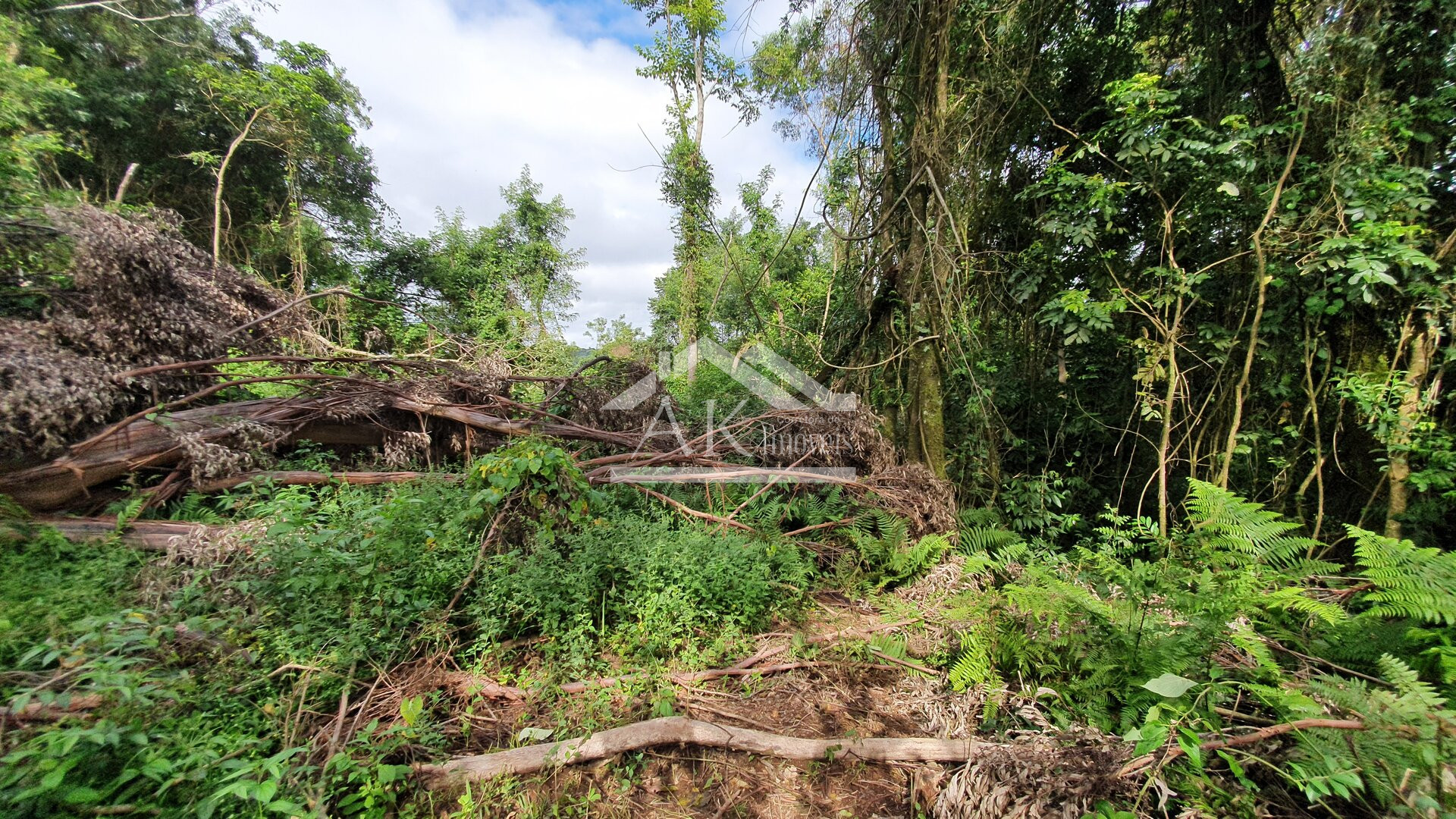 Área de Terras para Investimento à Venda em Nova Petrópolis na Serra Gaúcha
