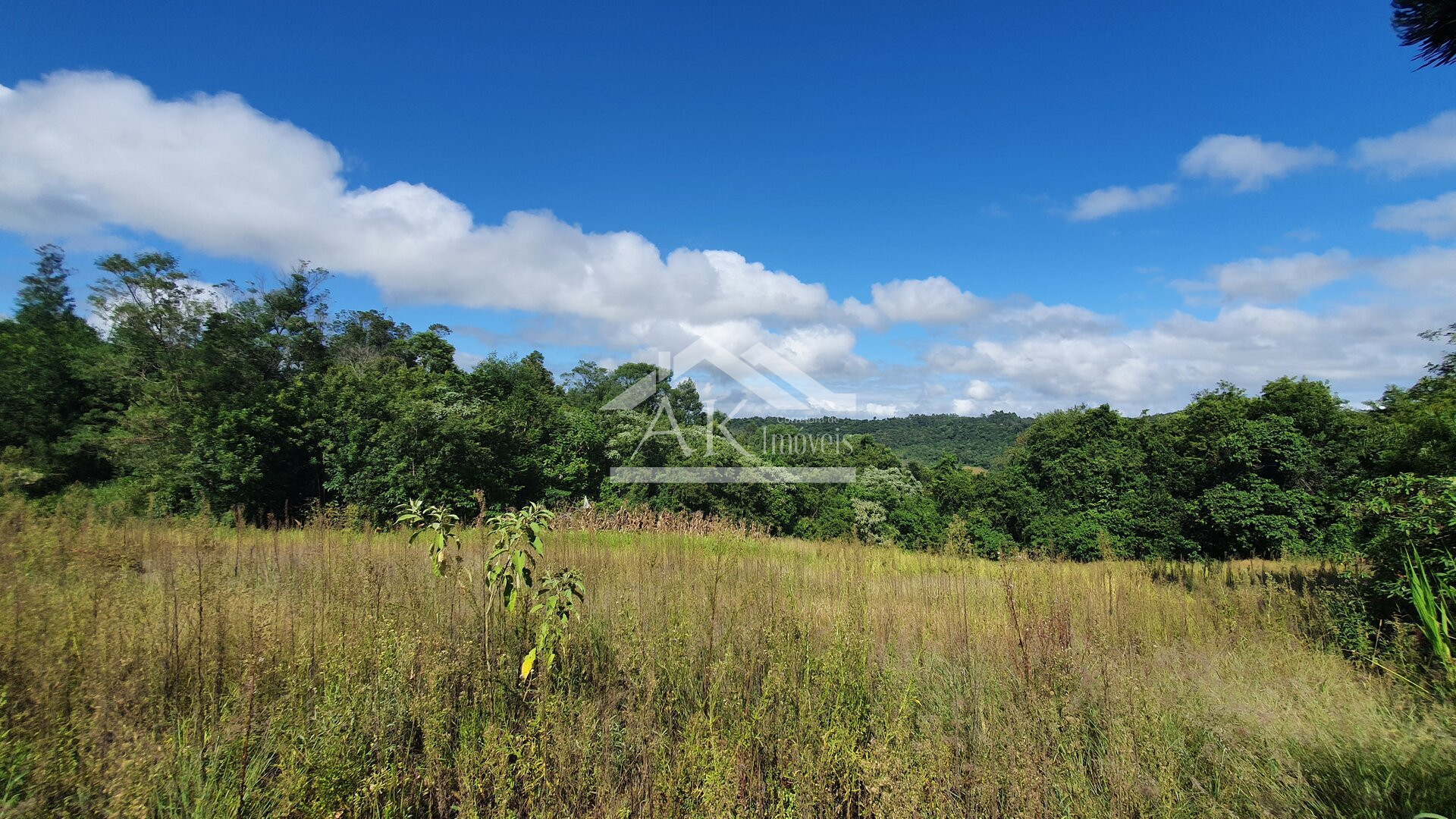 Área de Terras para Investimento à Venda em Nova Petrópolis na Serra Gaúcha