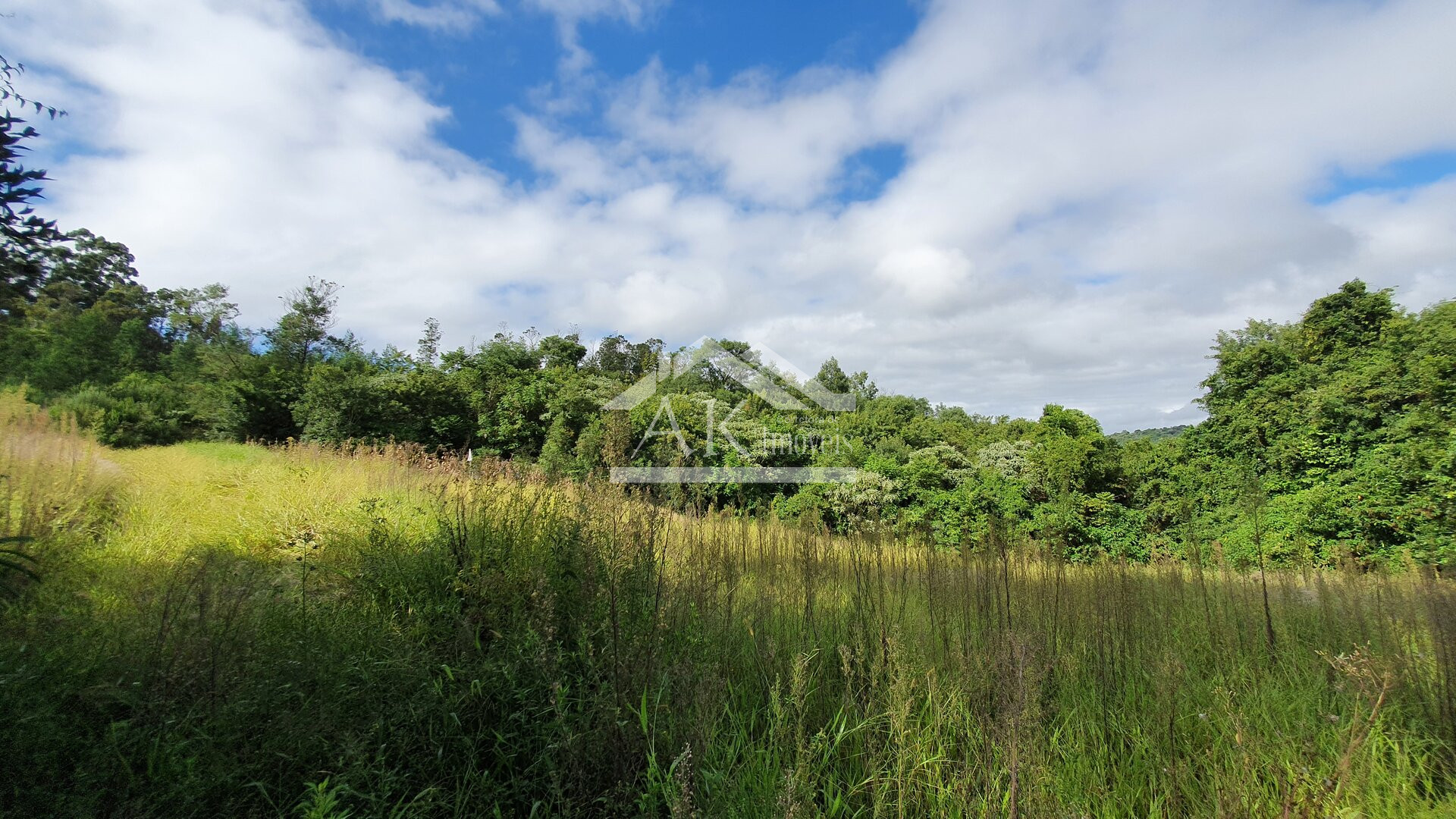 Área de Terras para Investimento à Venda em Nova Petrópolis na Serra Gaúcha