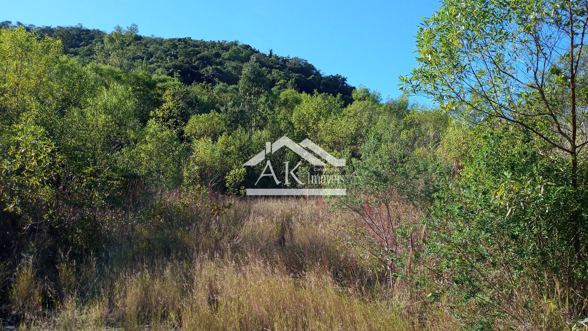 Área de terra com vista e riacho à venda em Linha Nova na Serra Gaúcha