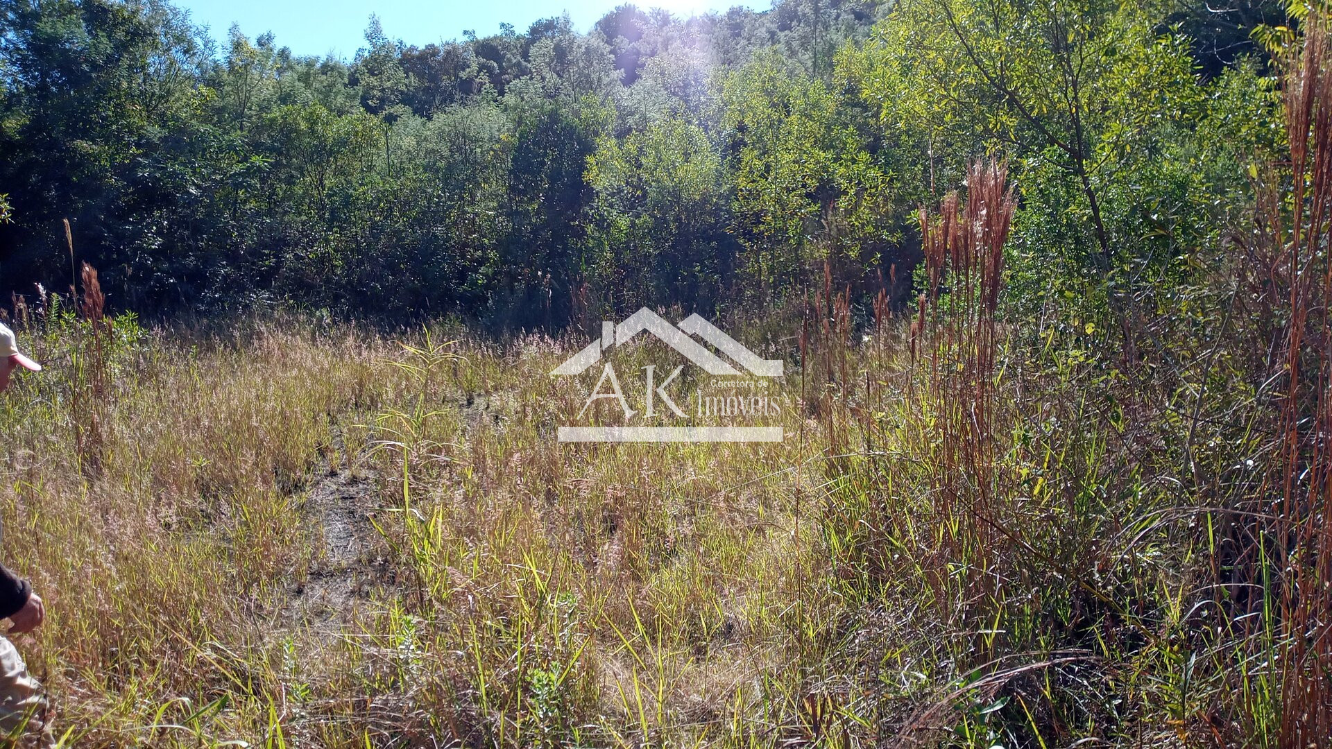 Área de terra com vista e riacho à venda em Linha Nova na Serra Gaúcha