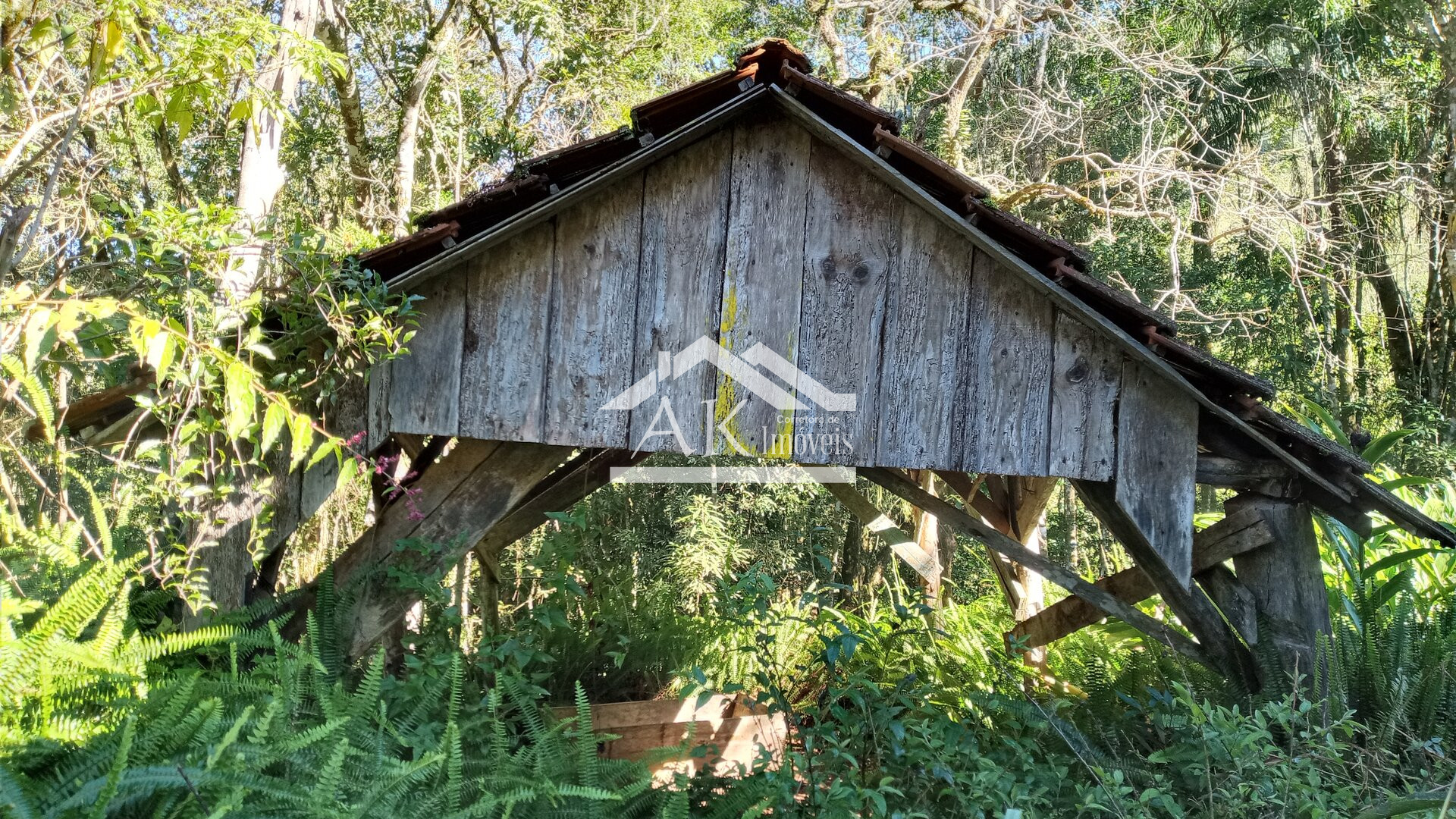 Área de terra com vista e riacho à venda em Linha Nova na Serra Gaúcha
