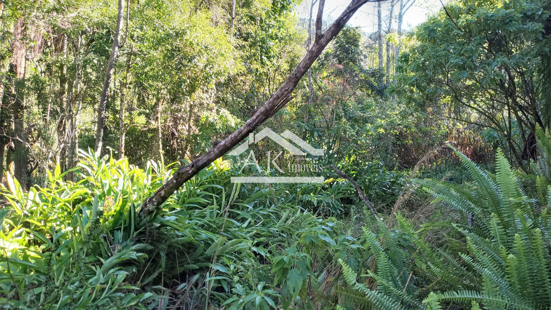 Área de terra com vista e riacho à venda em Linha Nova na Serra Gaúcha