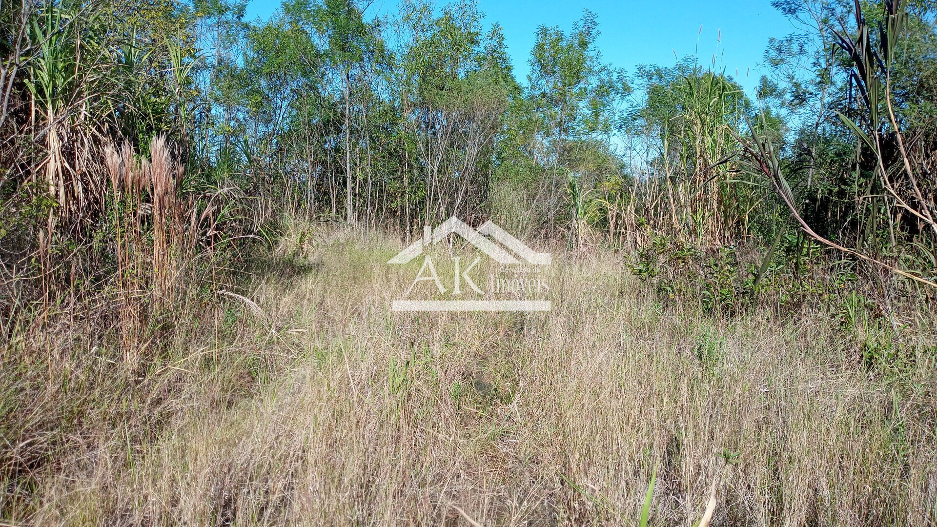 Área de terra com vista e riacho à venda em Linha Nova na Serra Gaúcha