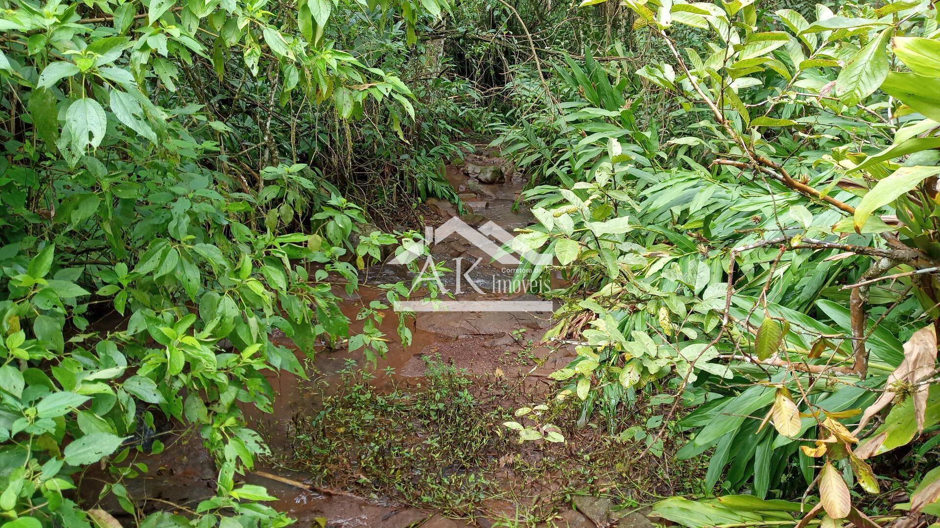 Área de terra com vista e riacho à venda em Linha Nova na Serra Gaúcha