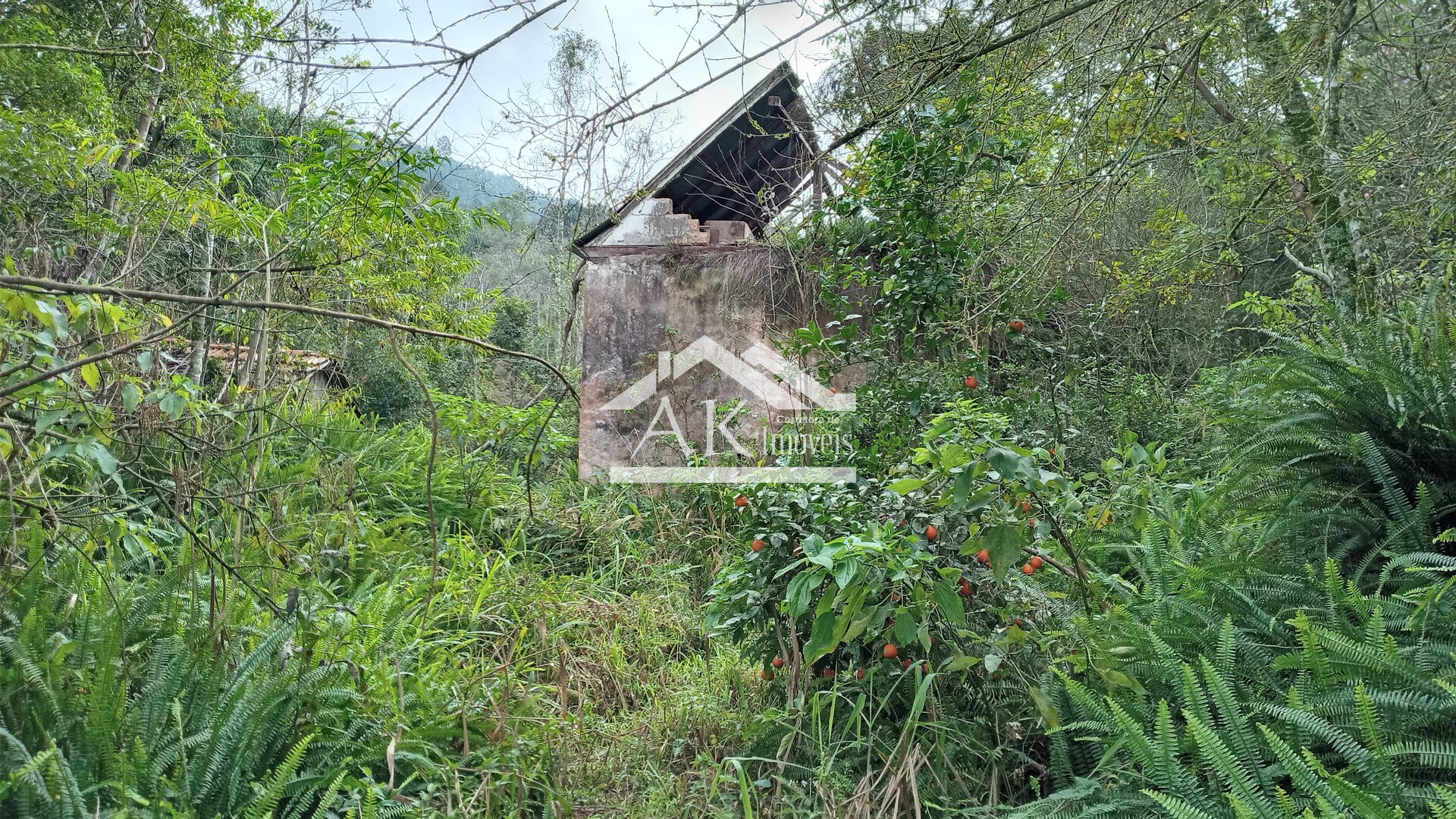 Área de terra com vista e riacho à venda em Linha Nova na Serra Gaúcha