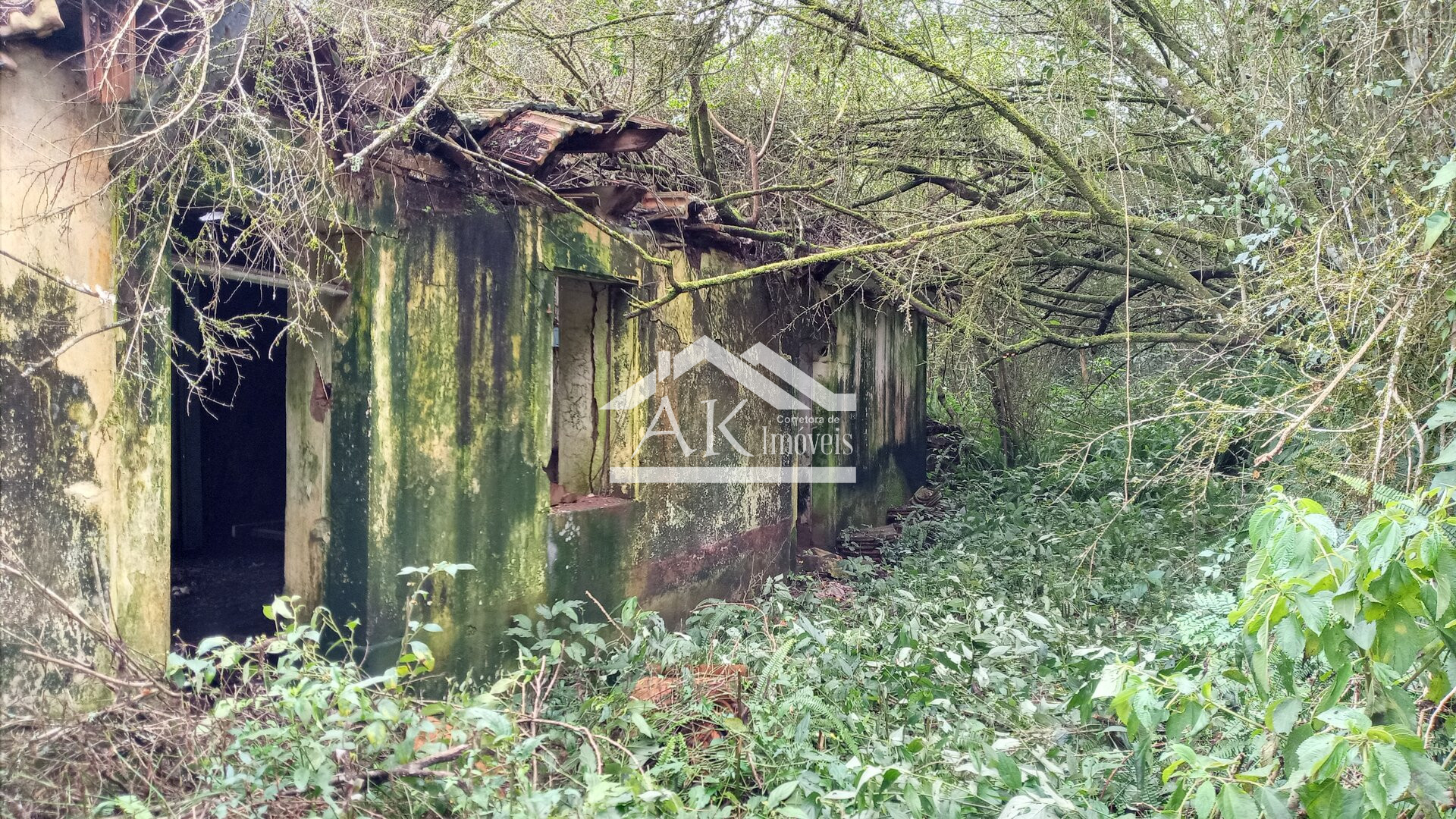 Área de terra com vista e riacho à venda em Linha Nova na Serra Gaúcha