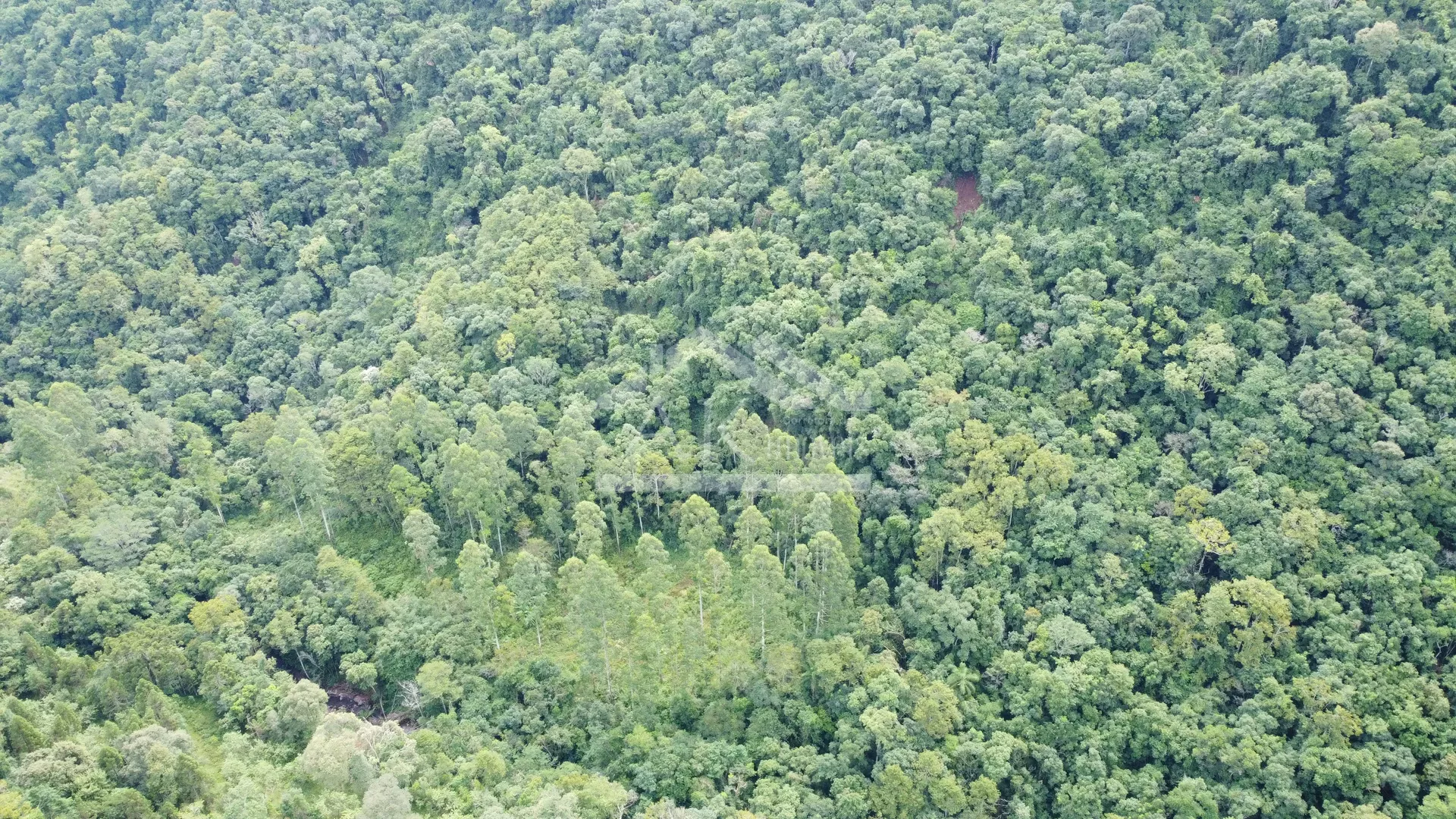 Área de terra margeada por arroio à venda em Picada Café na Serra Gaúcha