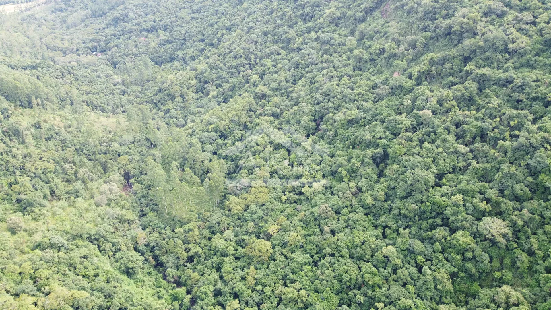 Área de terra margeada por arroio à venda em Picada Café na Serra Gaúcha