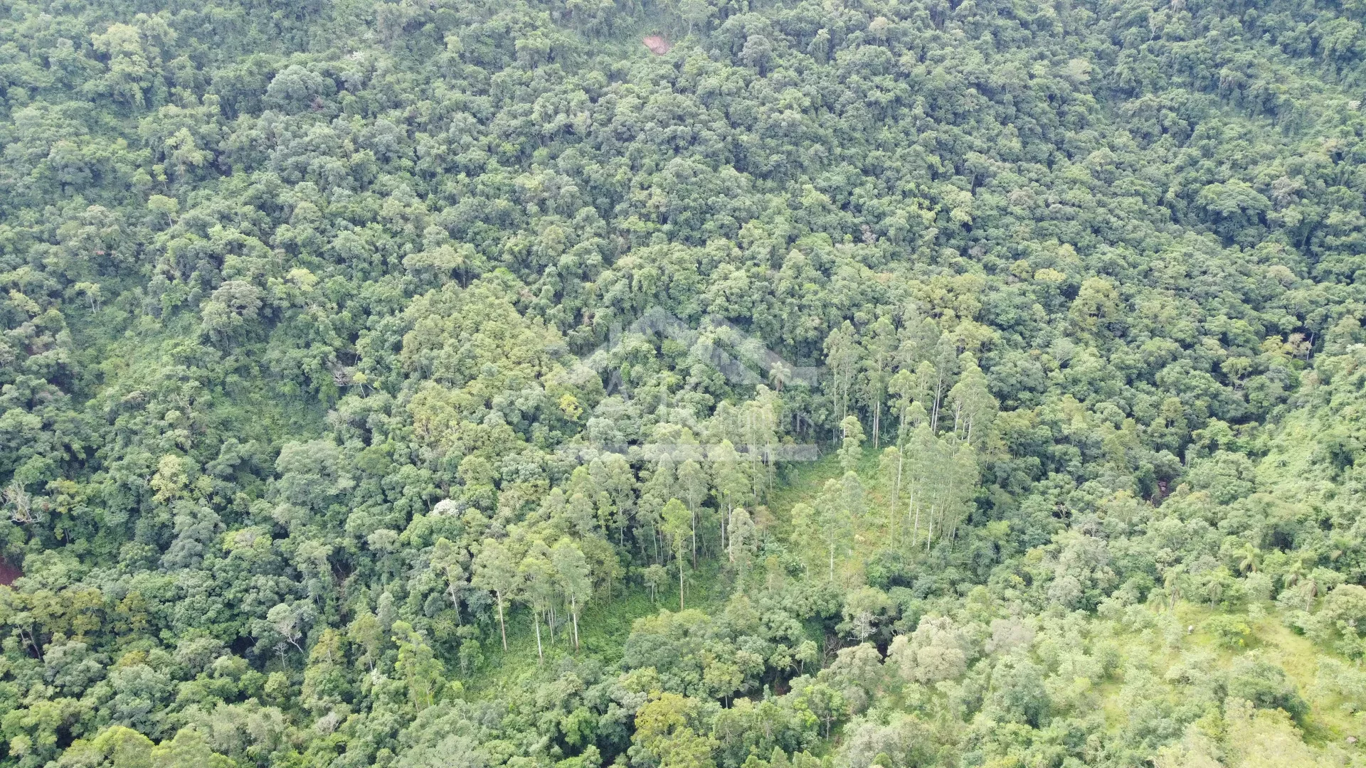 Área de terra margeada por arroio à venda em Picada Café na Serra Gaúcha