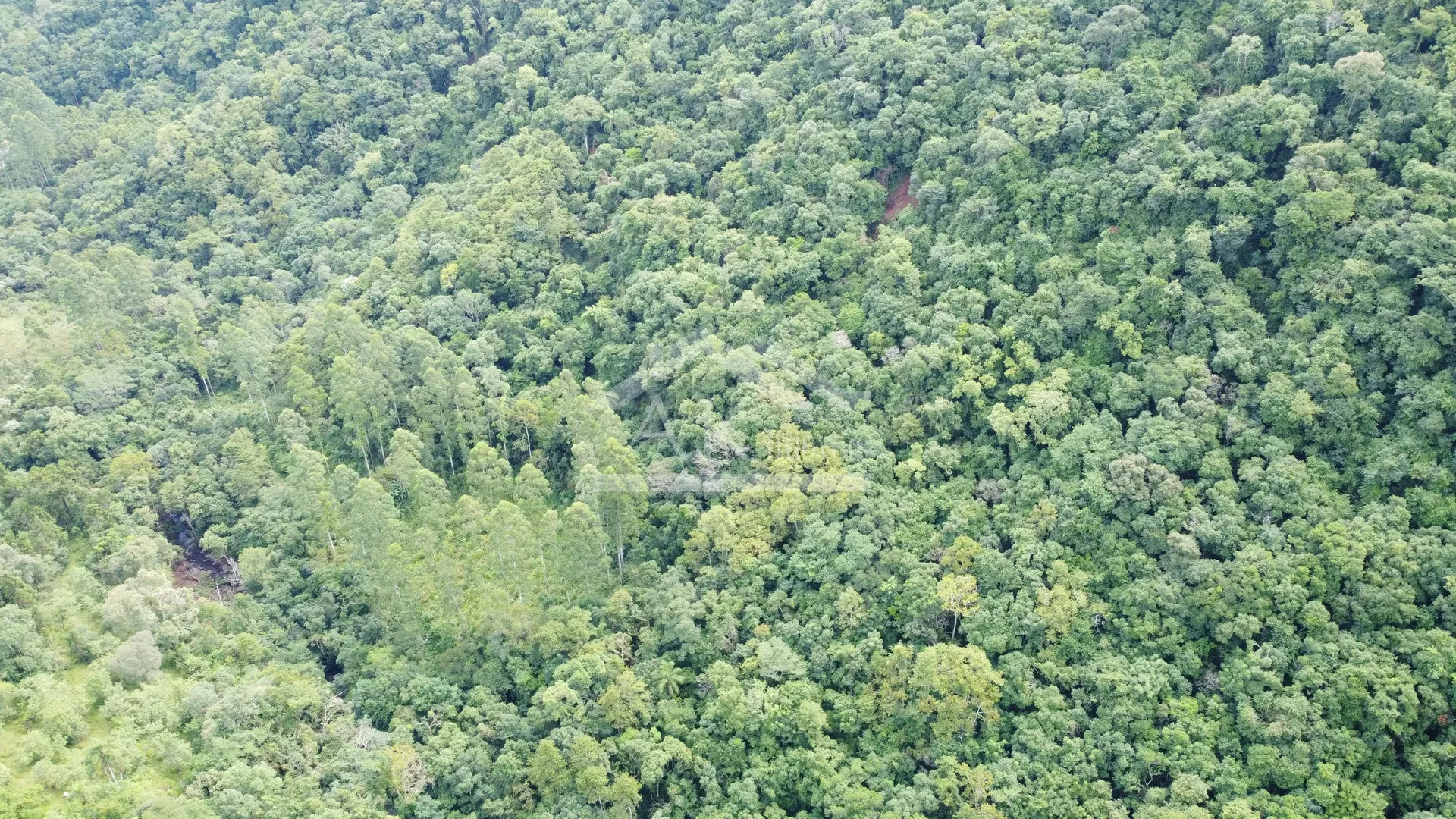 Área de terra margeada por arroio à venda em Picada Café na Serra Gaúcha