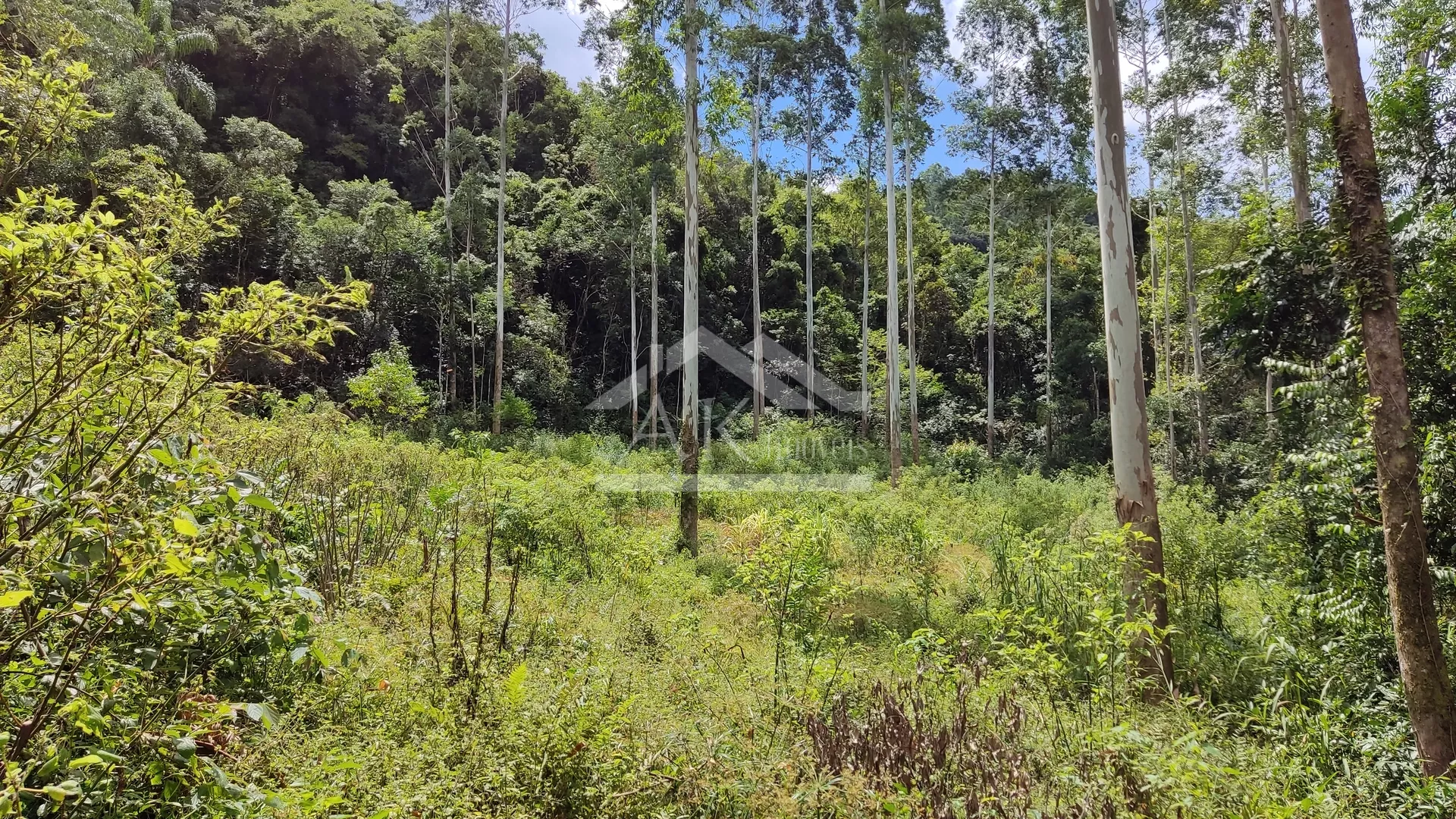Área de terra margeada por arroio à venda em Picada Café na Serra Gaúcha