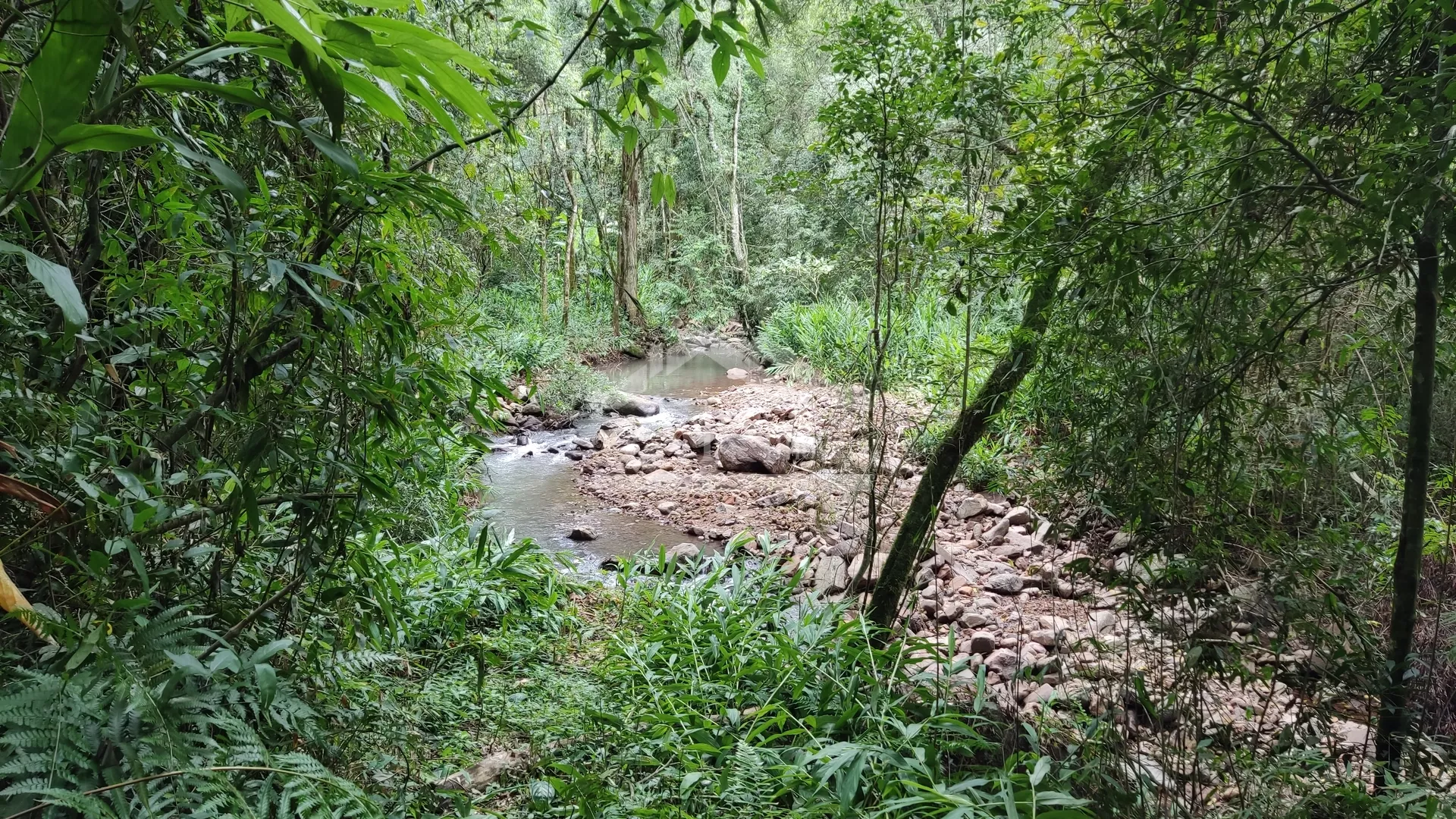 Área de terra margeada por arroio à venda em Picada Café na Serra Gaúcha