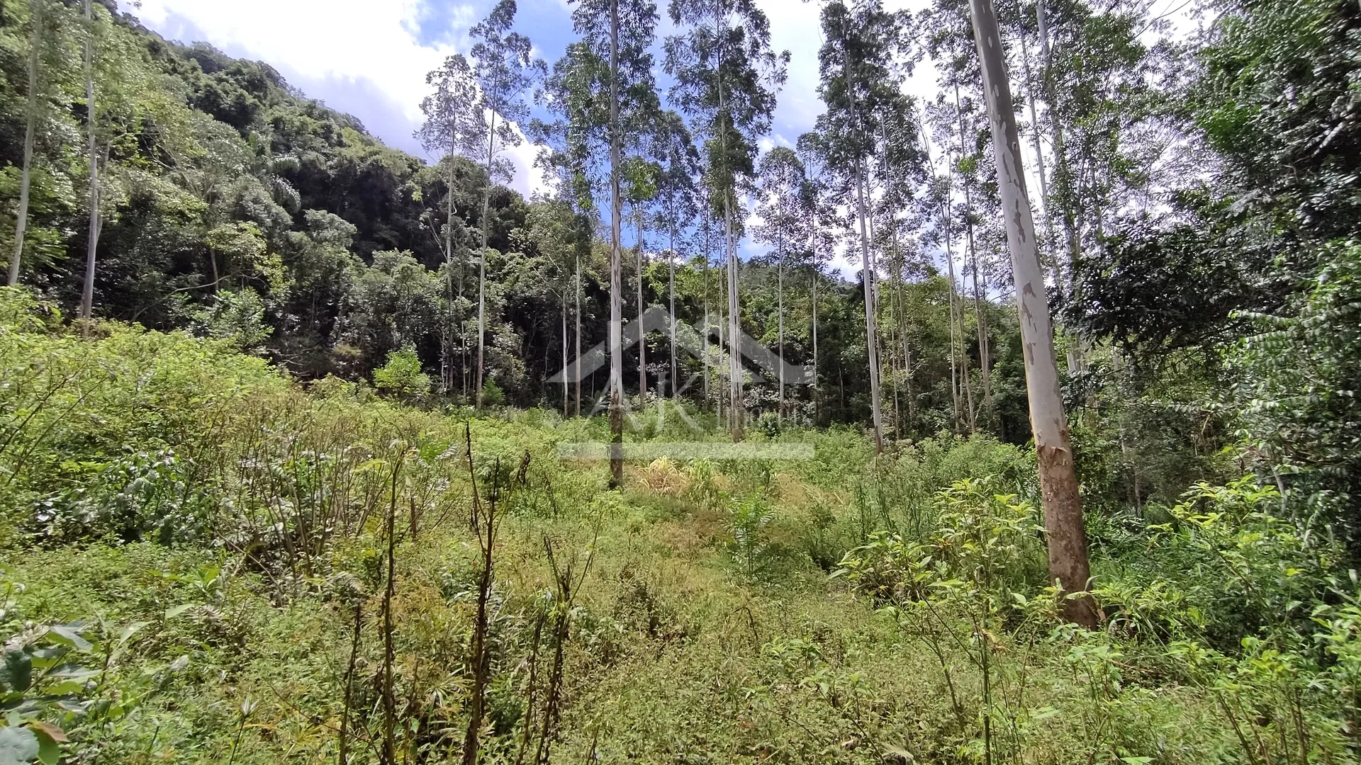 Área de terra margeada por arroio à venda em Picada Café na Serra Gaúcha
