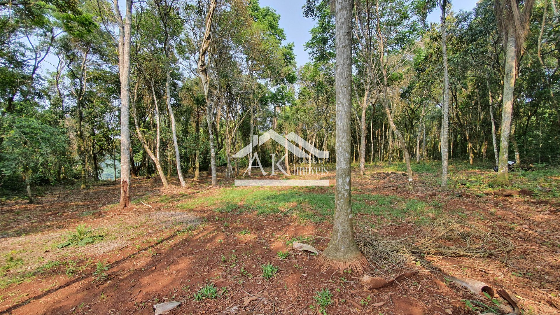 Área de terras totalmente plana à venda em Picada Café na serra gaúcha