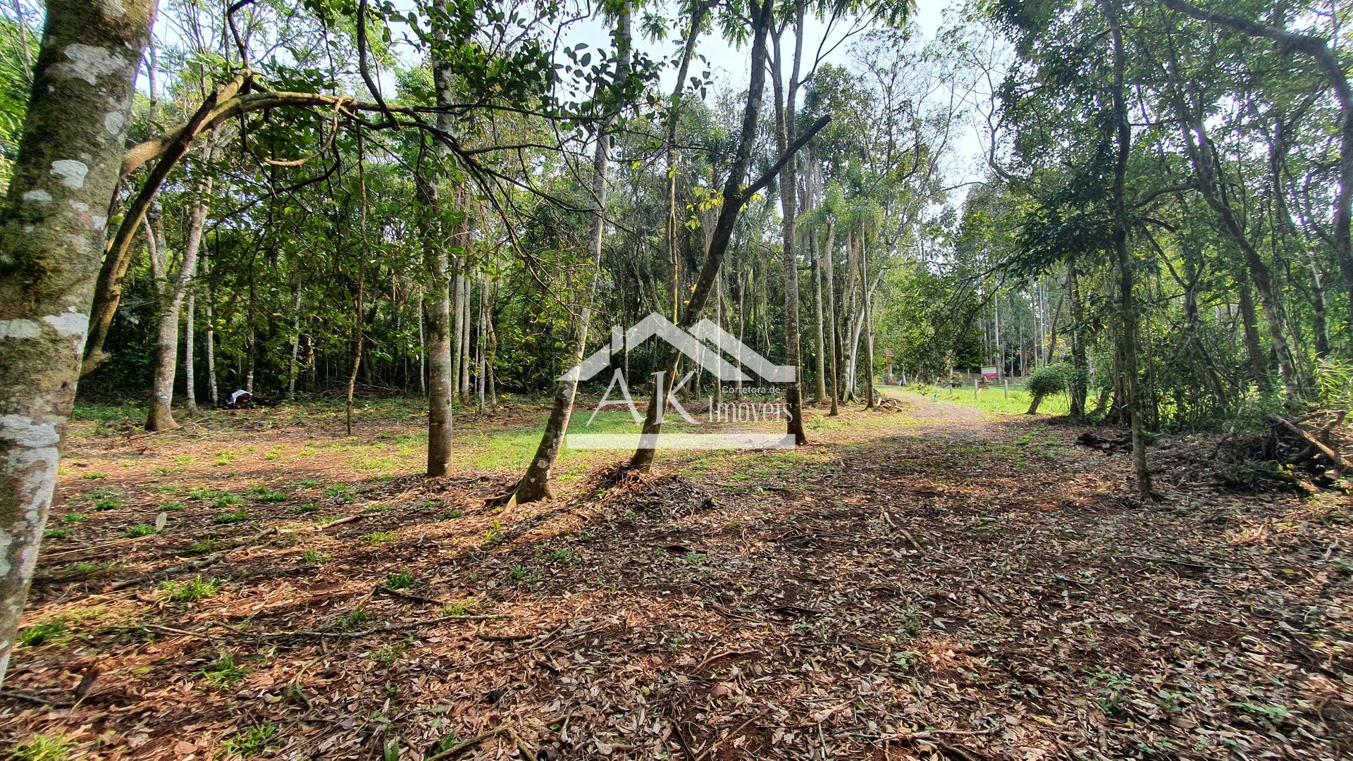 Área de terras totalmente plana à venda em Picada Café na serra gaúcha
