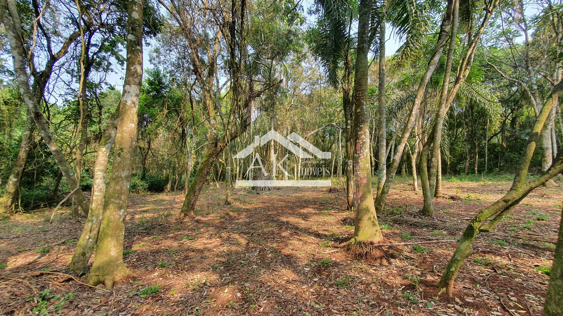 Área de terras totalmente plana à venda em Picada Café na serra gaúcha