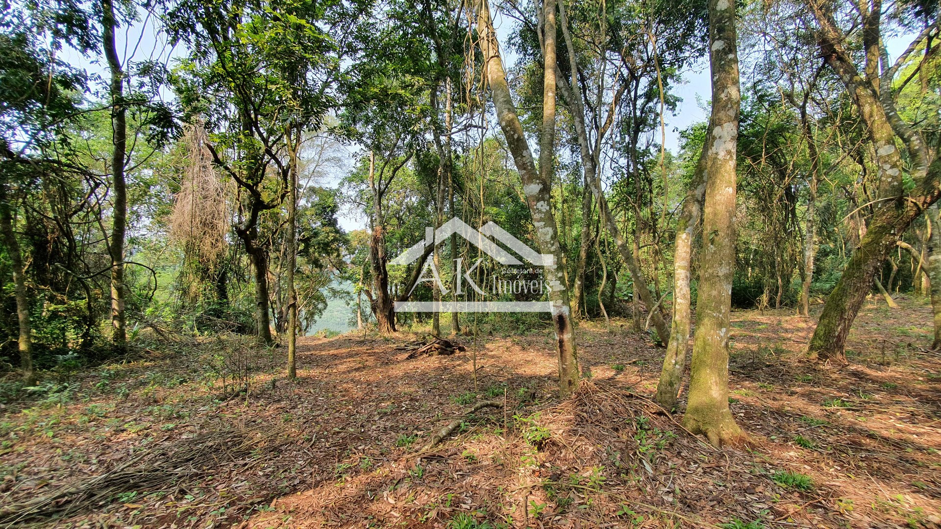 Área de terras totalmente plana à venda em Picada Café na serra gaúcha