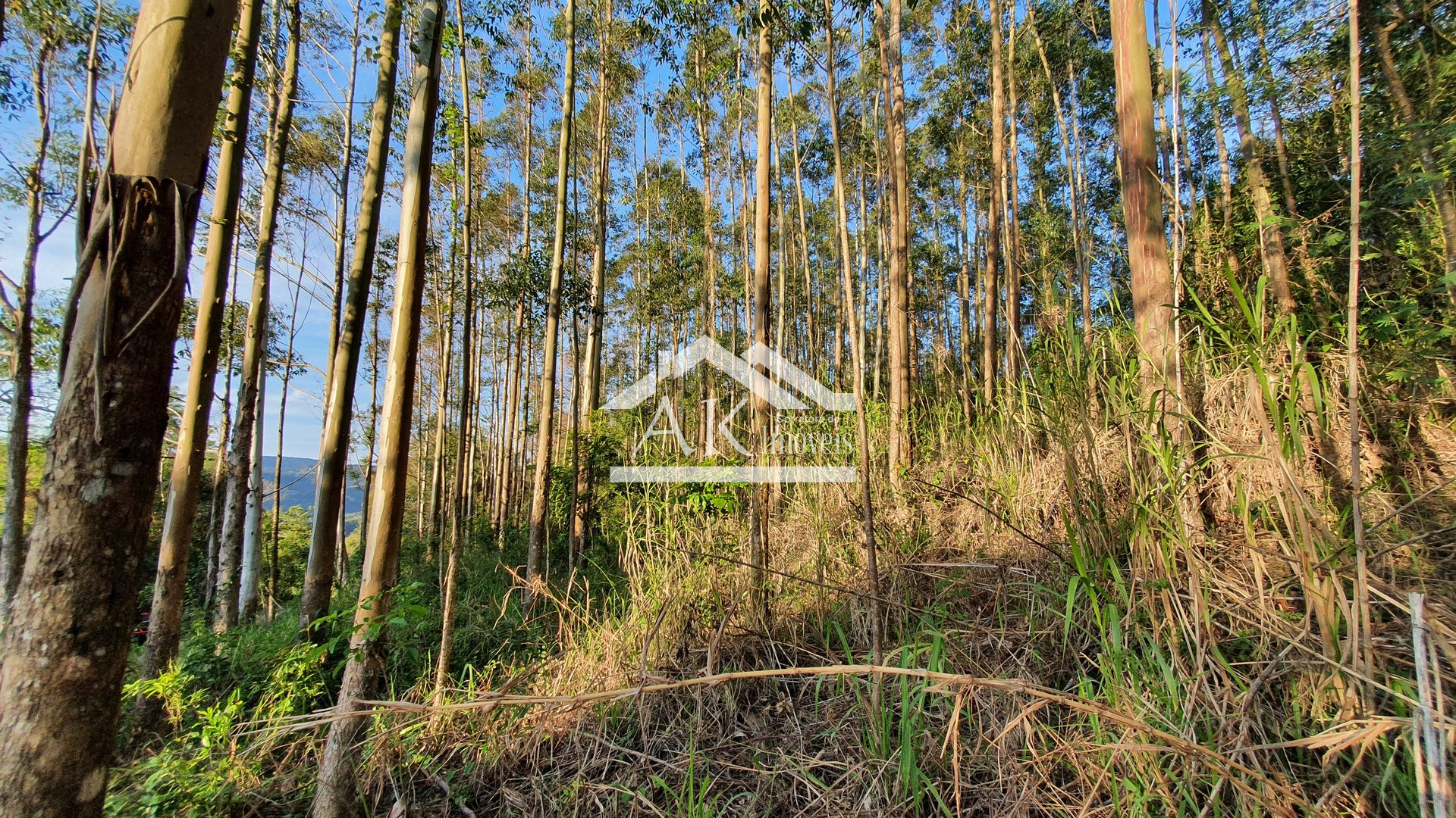 Área de terras com bela vista à venda em Nova Petrópolis na serra gaúcha