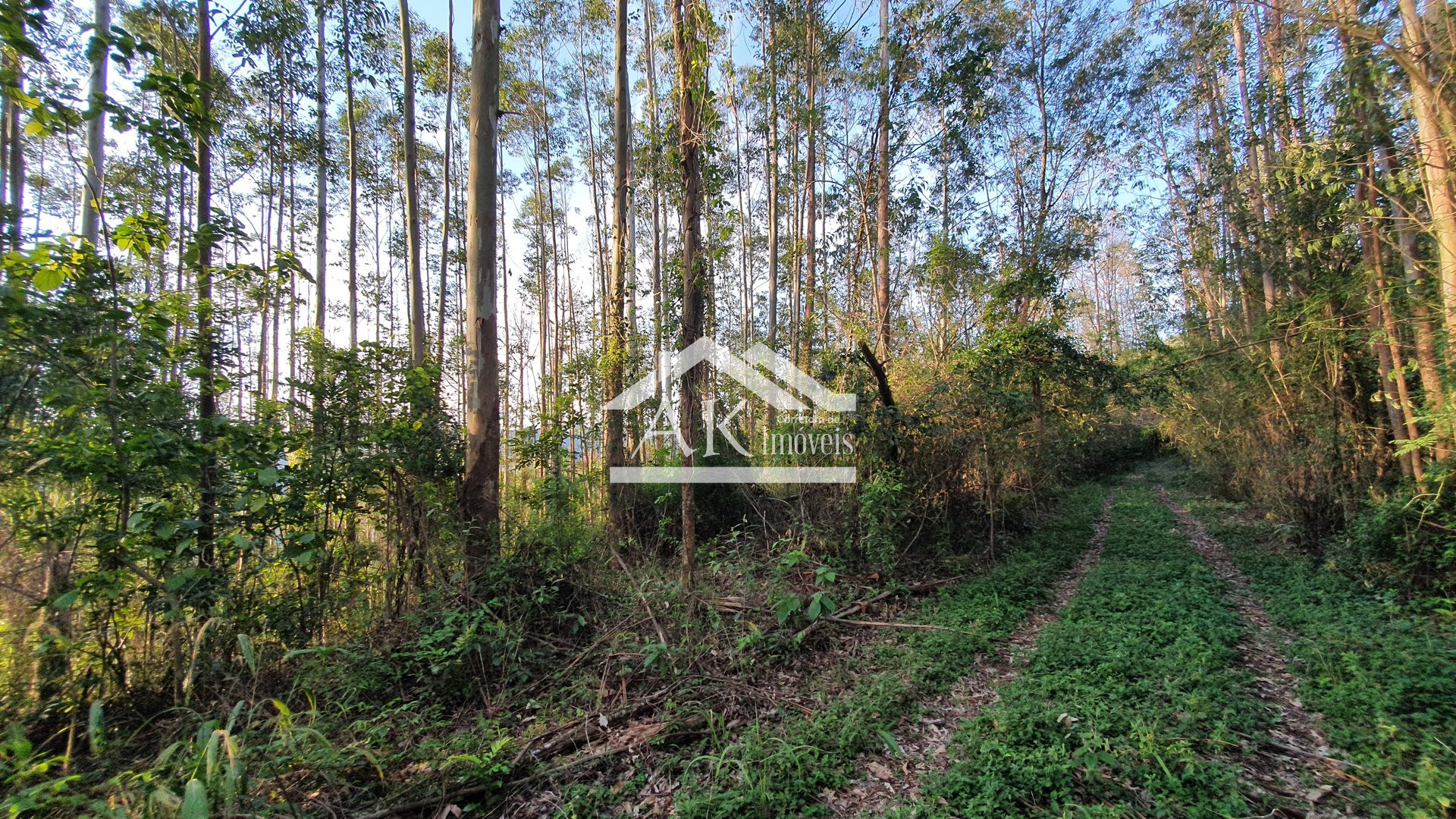 Área de terras com bela vista à venda em Nova Petrópolis na serra gaúcha