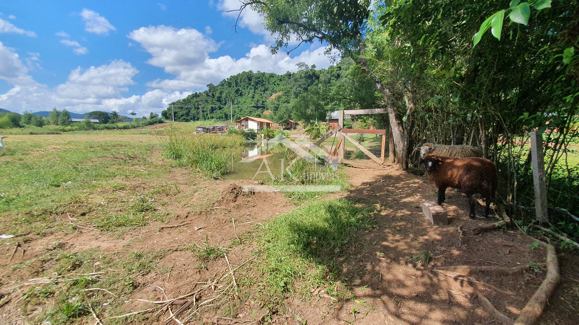 Área de terras com açude e fundos para o Rio Cadeia à venda em Picada Café na Serra Gaúcha