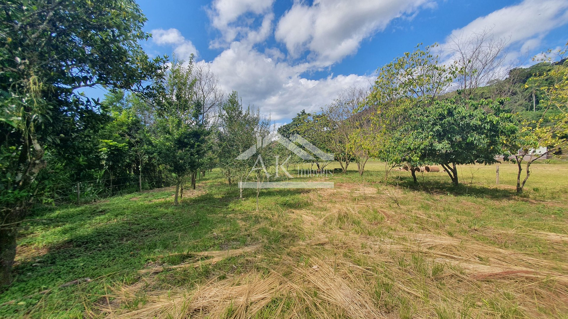 Área de terras com açude e fundos para o Rio Cadeia à venda em Picada Café na Serra Gaúcha