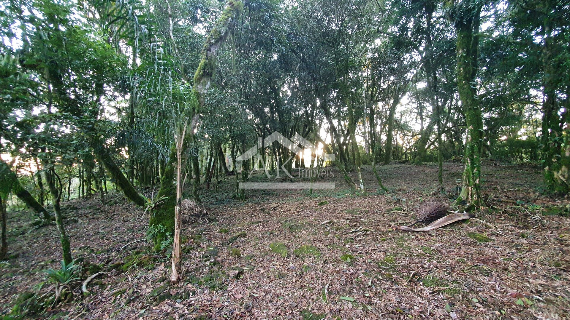 Linda área com vista à venda em Morro Reuter, na Serra Gaúcha