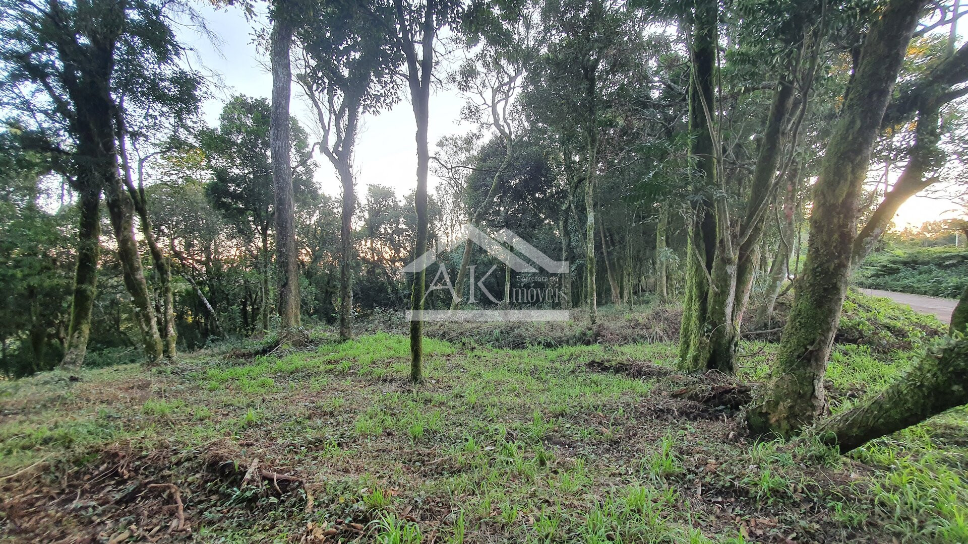Linda área com vista à venda em Morro Reuter, na Serra Gaúcha