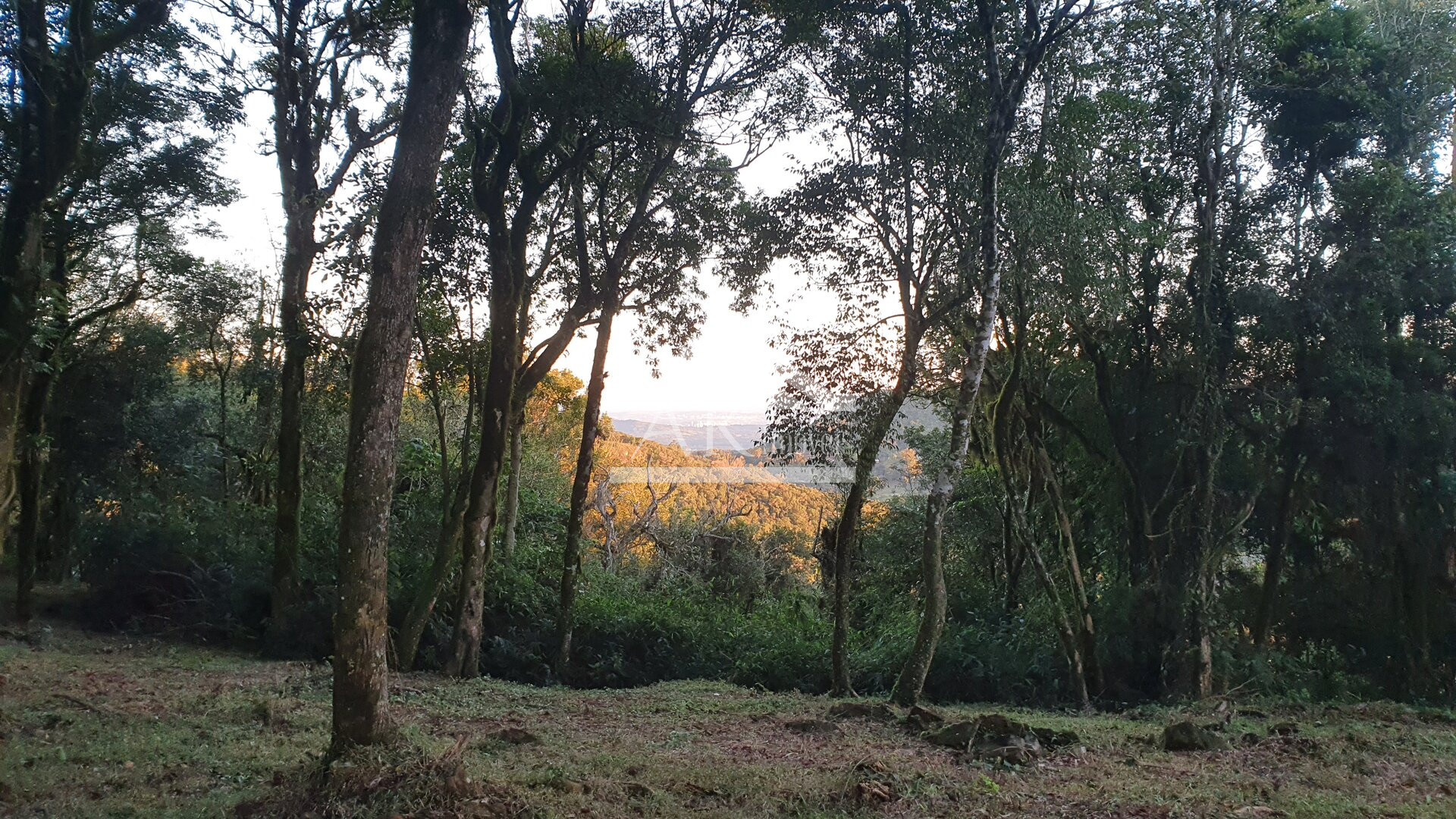 Linda área com vista à venda em Morro Reuter, na Serra Gaúcha