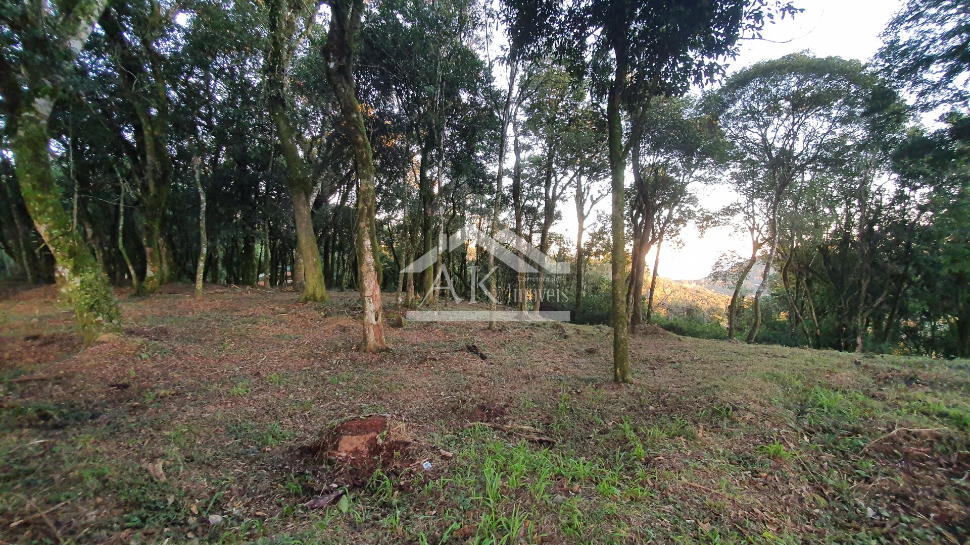Linda área com vista à venda em Morro Reuter, na Serra Gaúcha