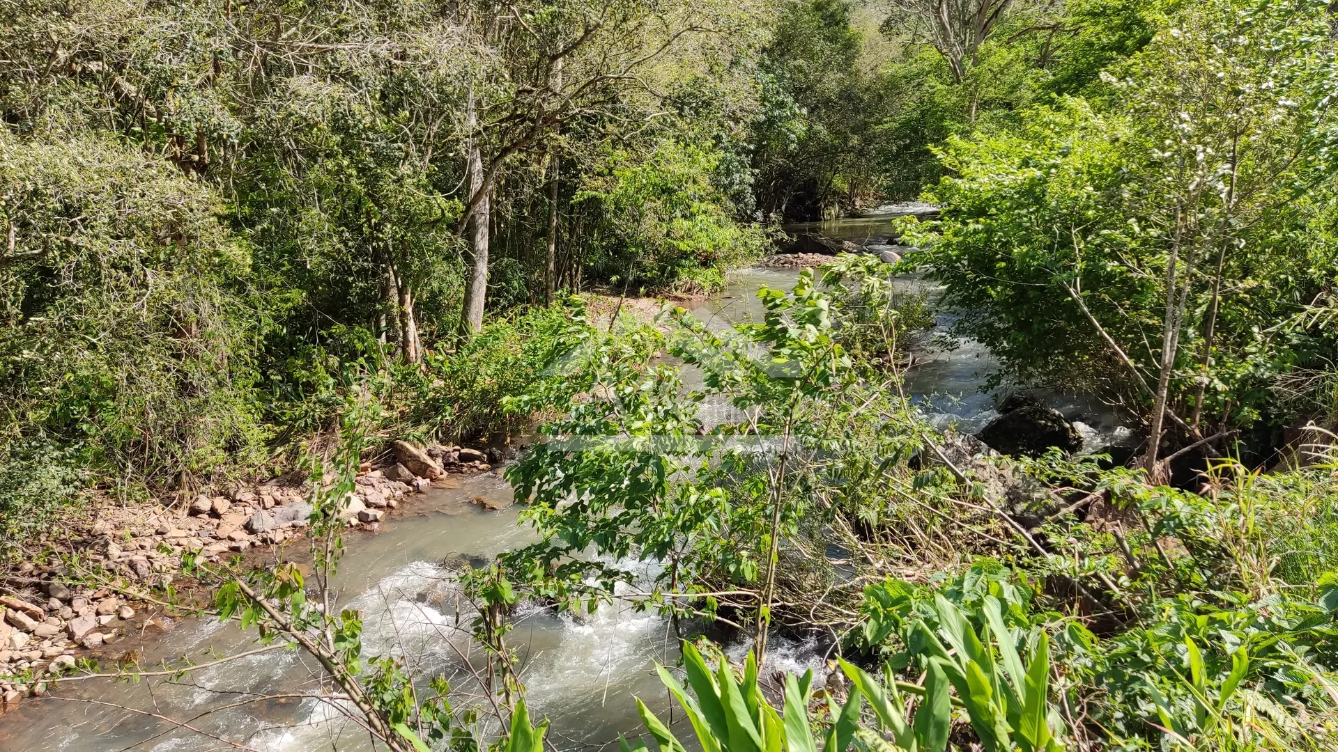Área de terra com riacho à venda em Picada Café na Serra Gaúcha