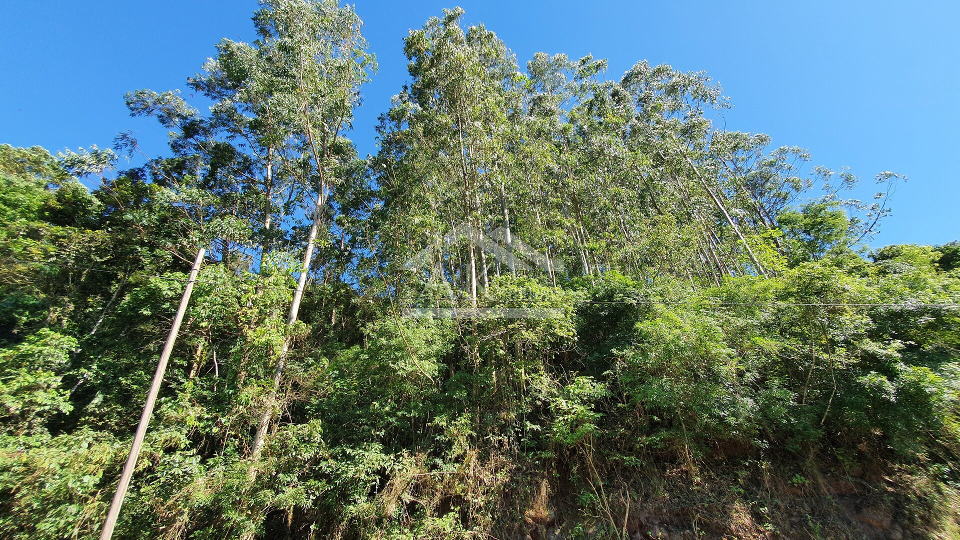 Área de terras com córregos à venda em Linha Nova na Serra Gaúcha