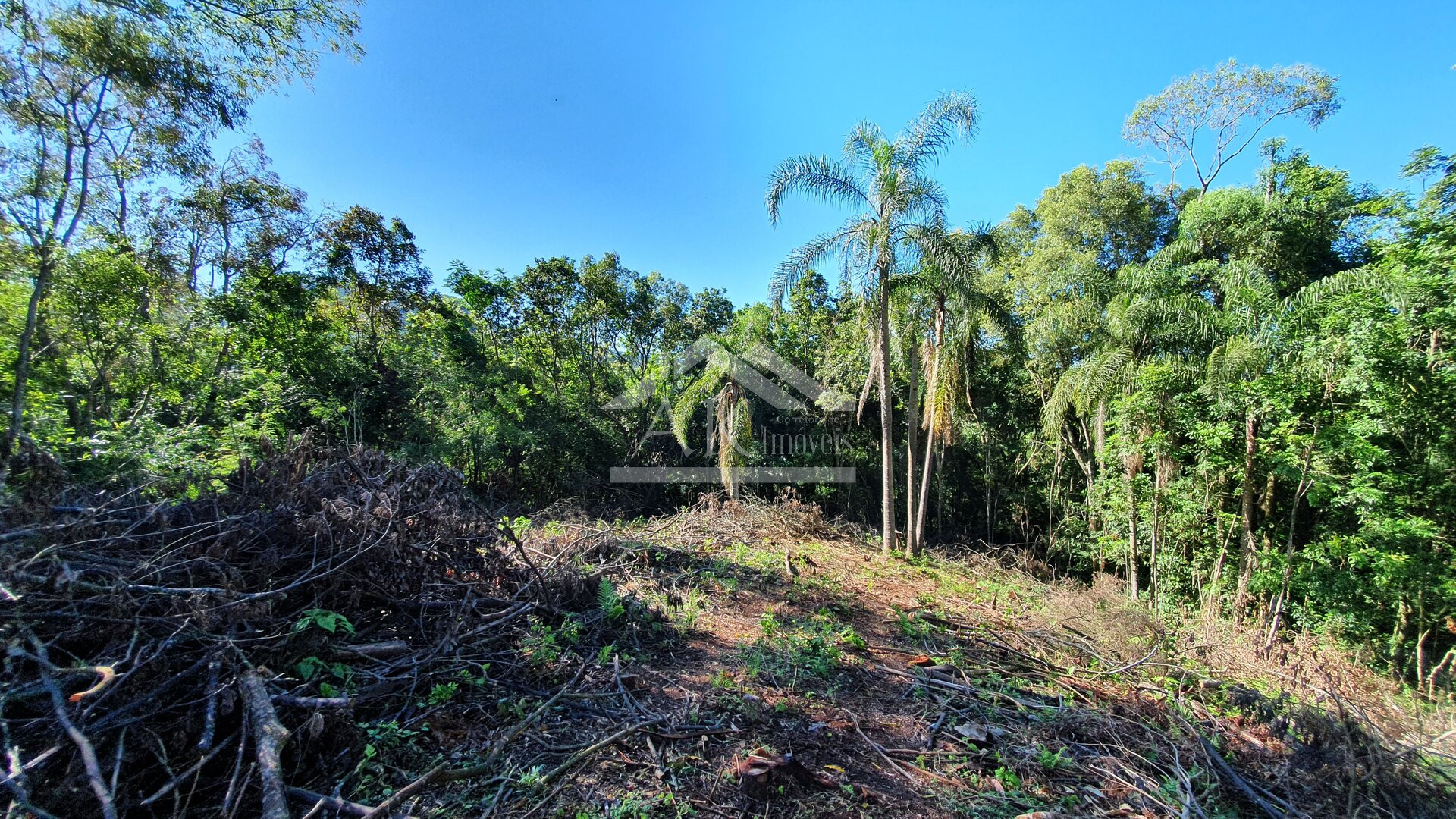 Área de terras com córregos à venda em Linha Nova na Serra Gaúcha
