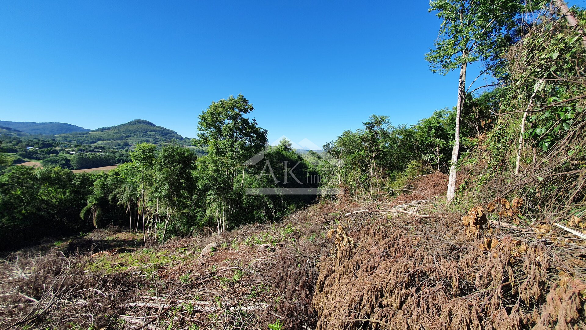 Área de terras com córregos à venda em Linha Nova na Serra Gaúcha