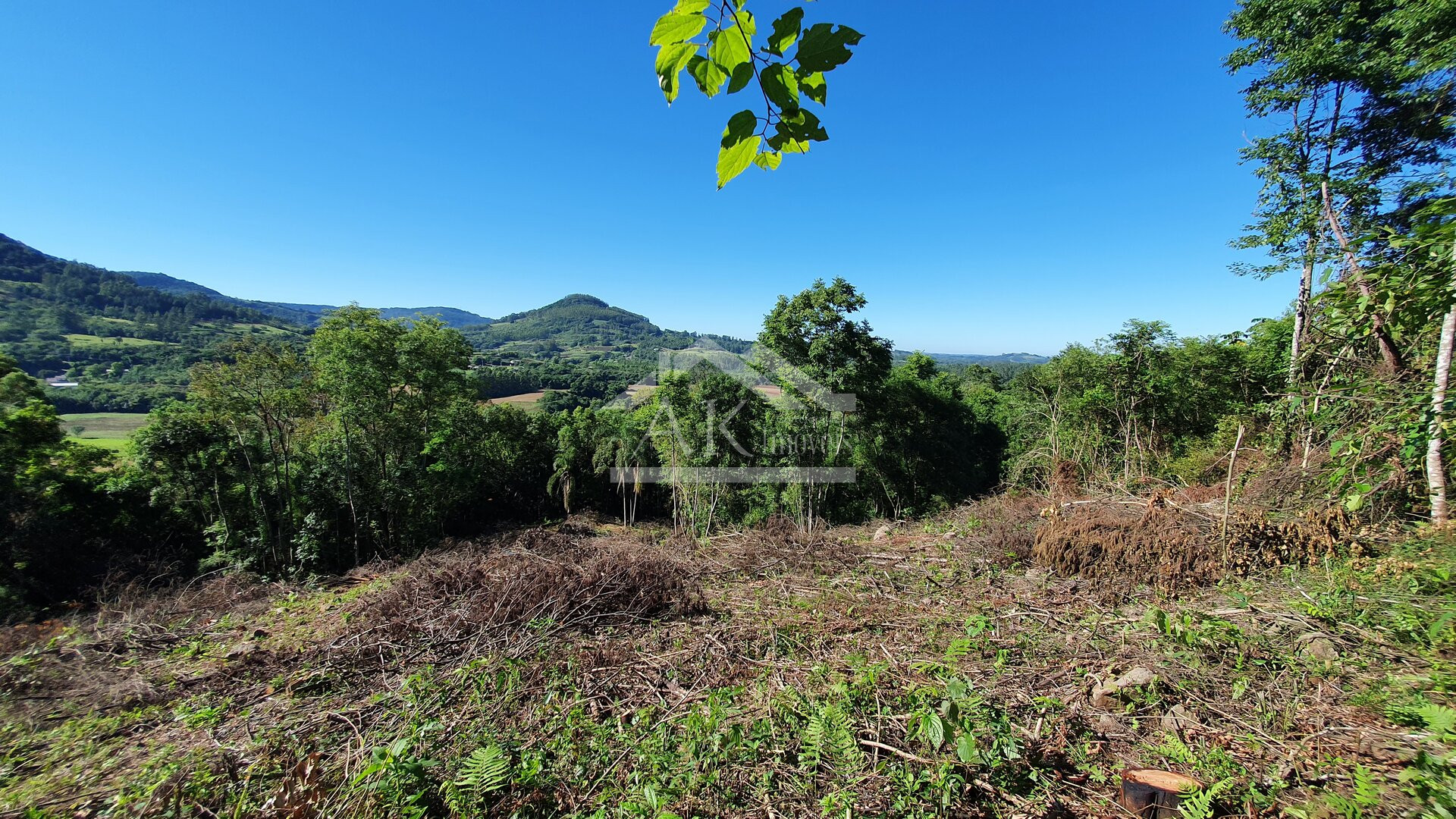 Área de terras com córregos à venda em Linha Nova na Serra Gaúcha