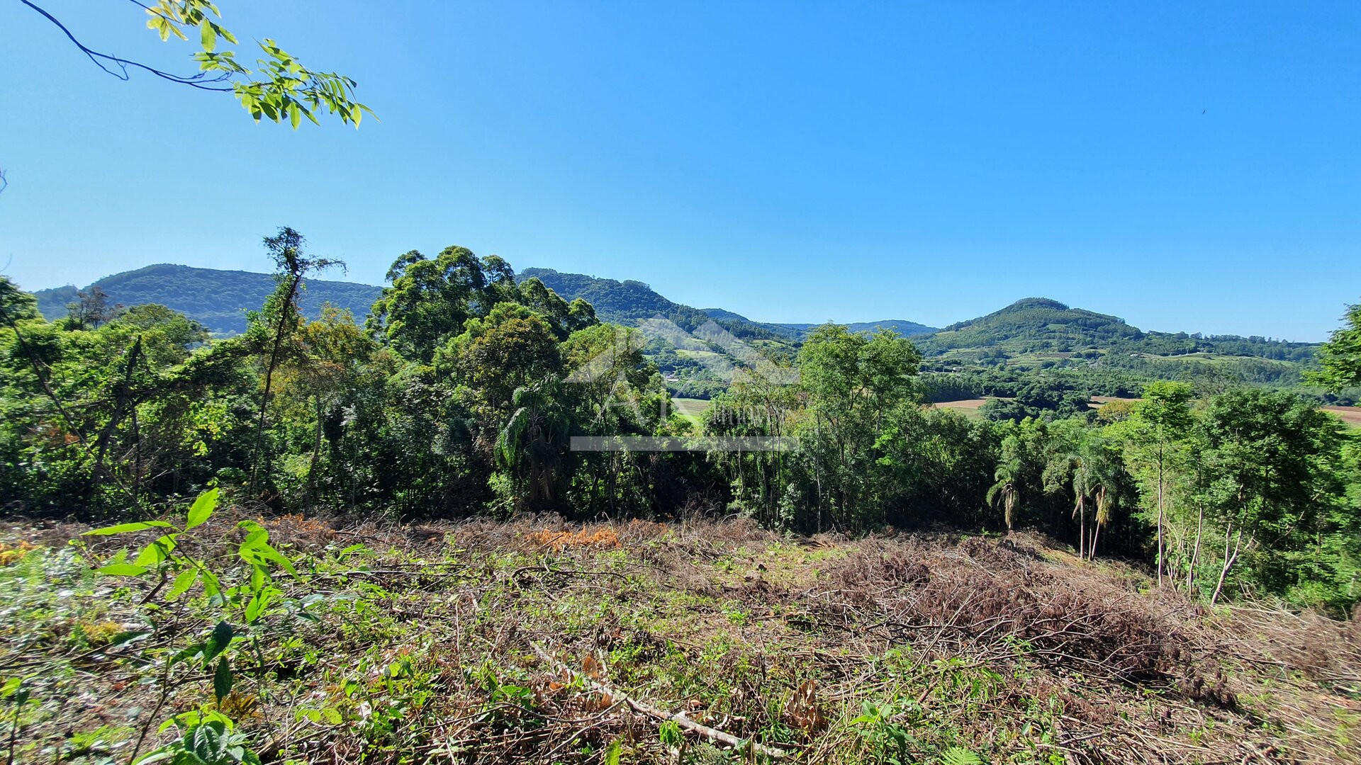 Área de terras com córregos à venda em Linha Nova na Serra Gaúcha