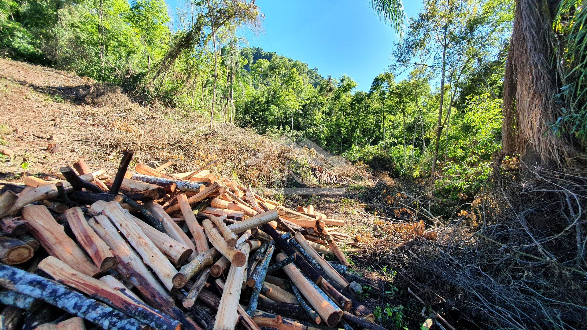 Área de terras com córregos à venda em Linha Nova na Serra Gaúcha