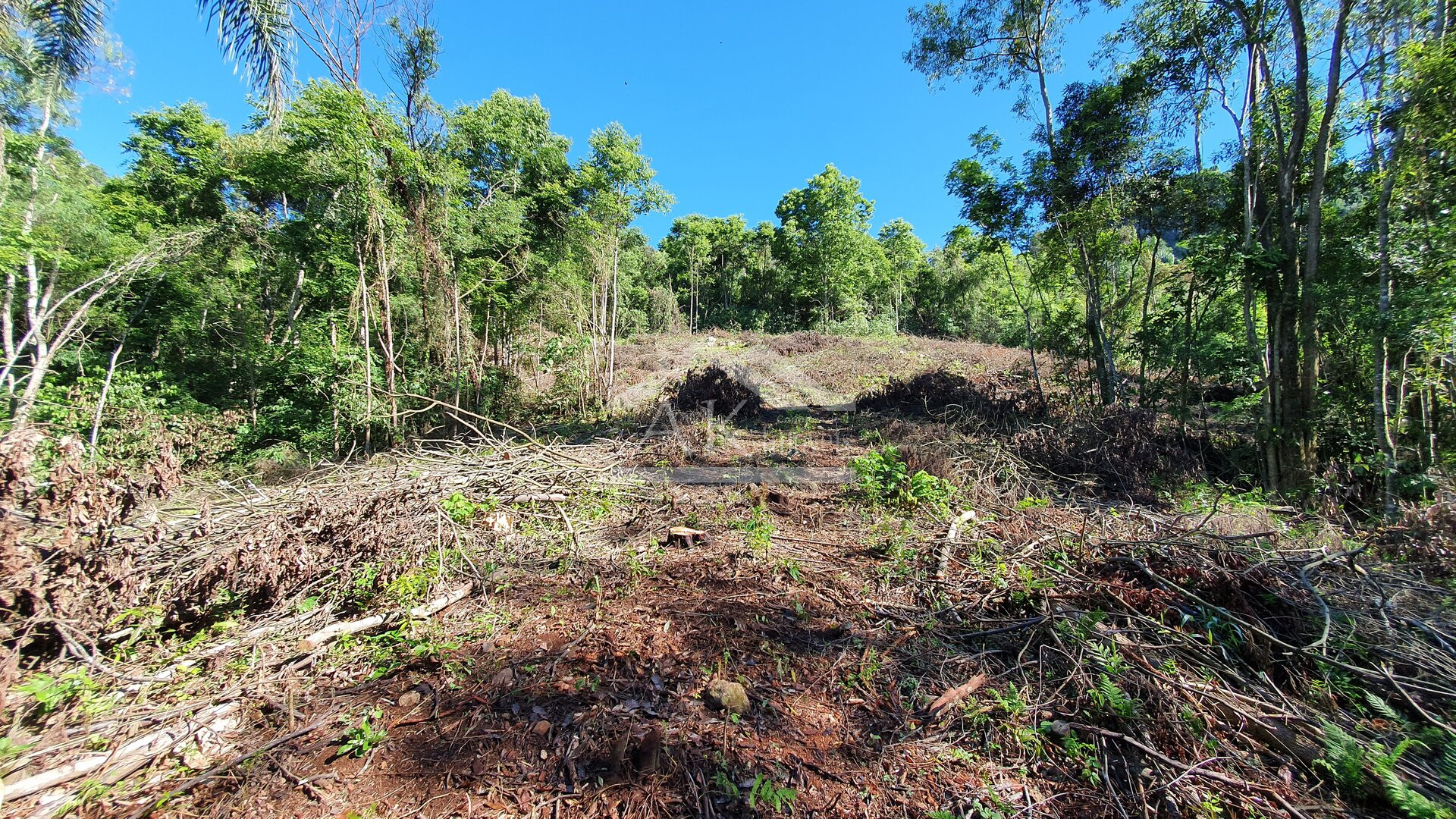 Área de terras com córregos à venda em Linha Nova na Serra Gaúcha