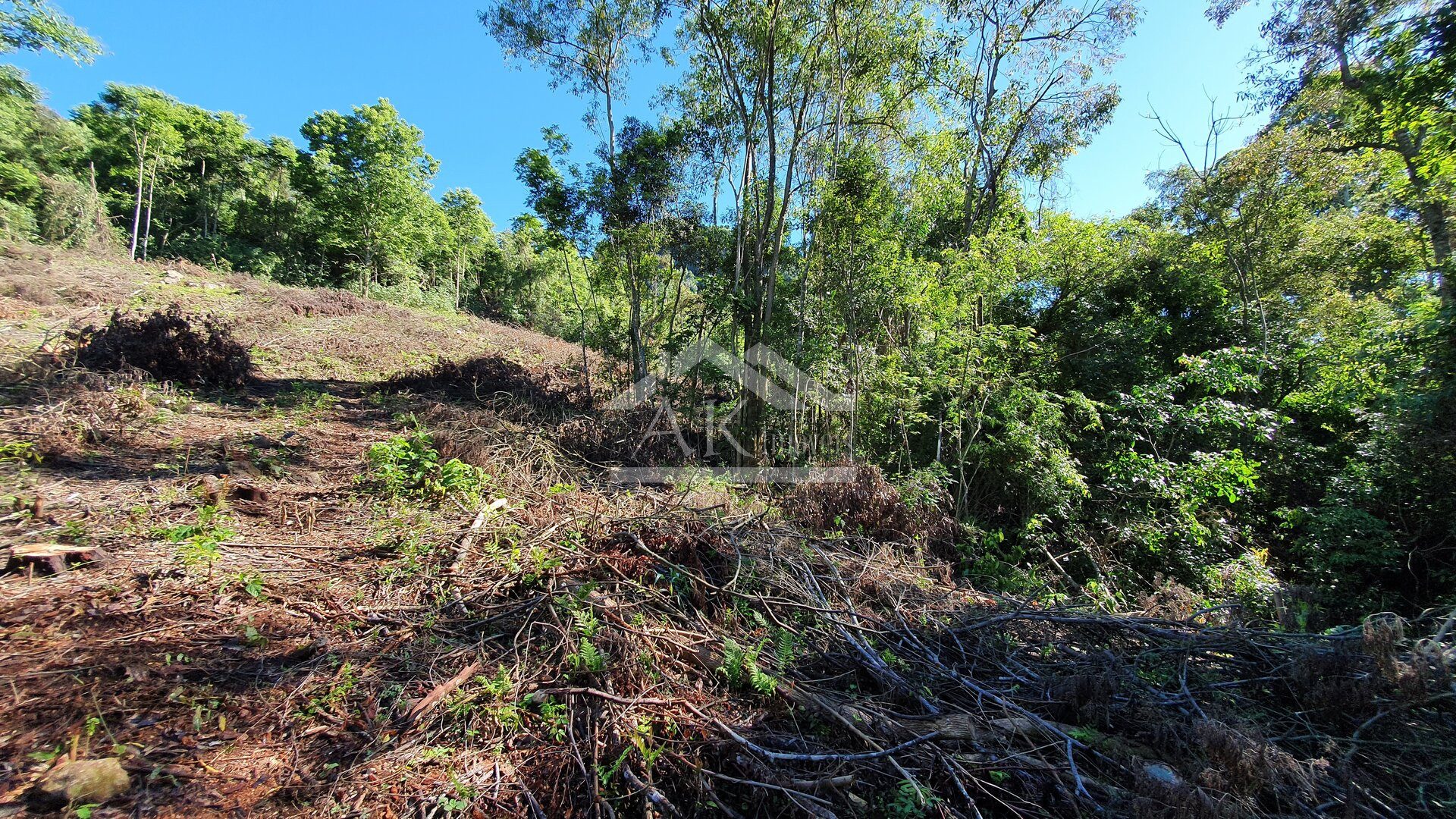 Área de terras com córregos à venda em Linha Nova na Serra Gaúcha