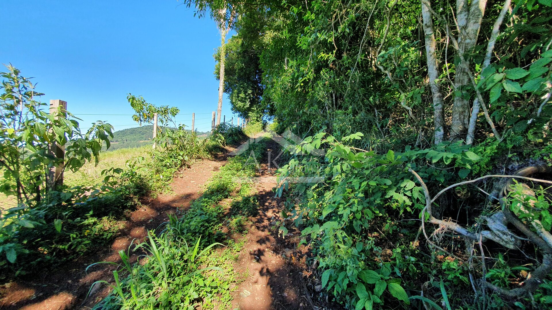 Área de terras com córregos à venda em Linha Nova na Serra Gaúcha