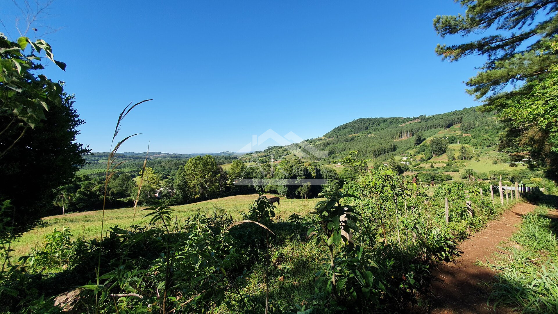Área de terras com córregos à venda em Linha Nova na Serra Gaúcha