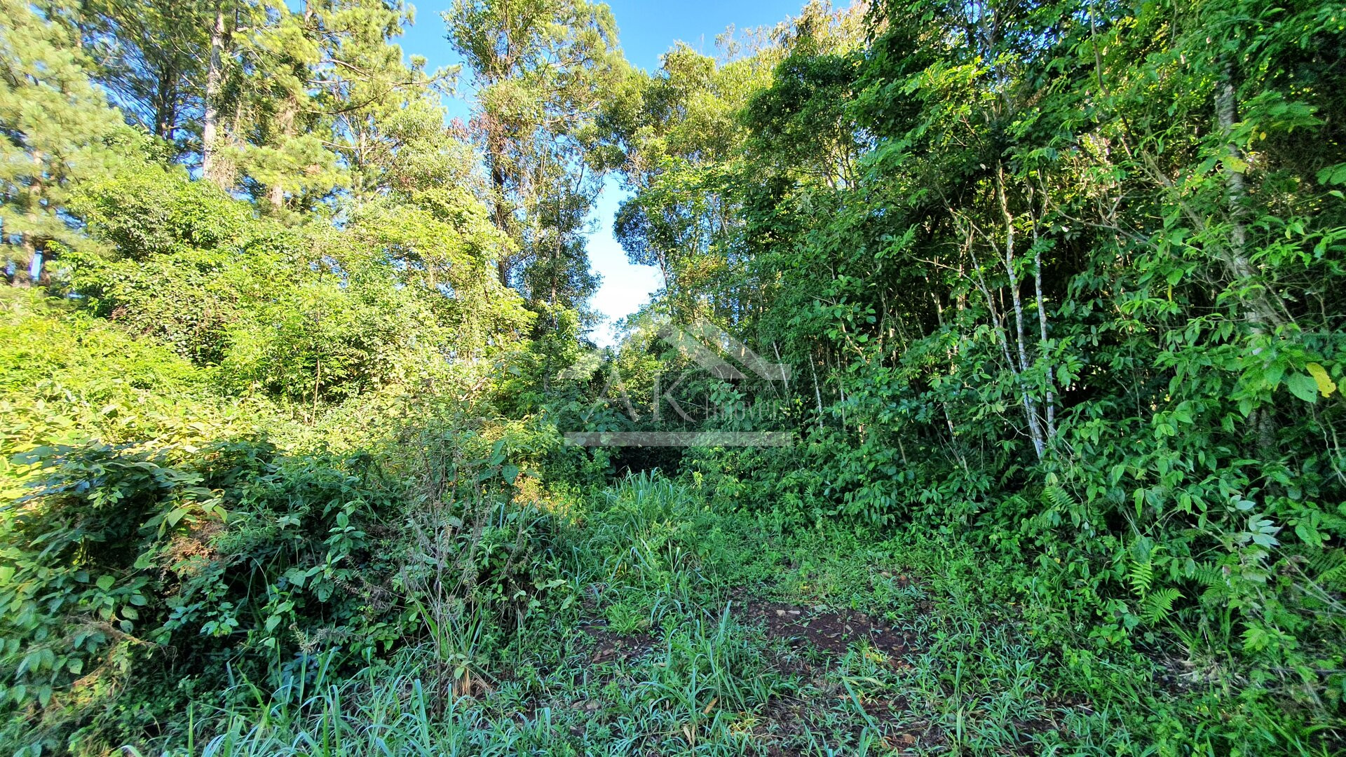 Área de terras com córregos à venda em Linha Nova na Serra Gaúcha