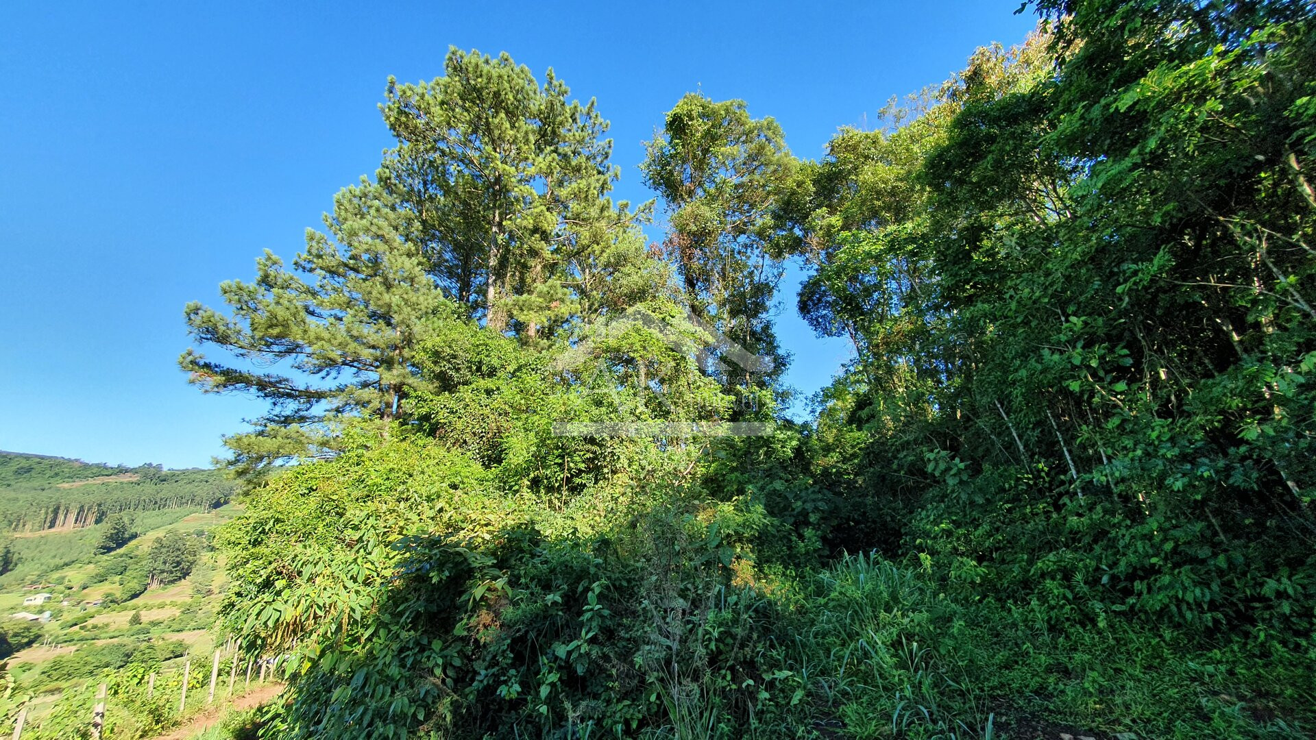 Área de terras com córregos à venda em Linha Nova na Serra Gaúcha
