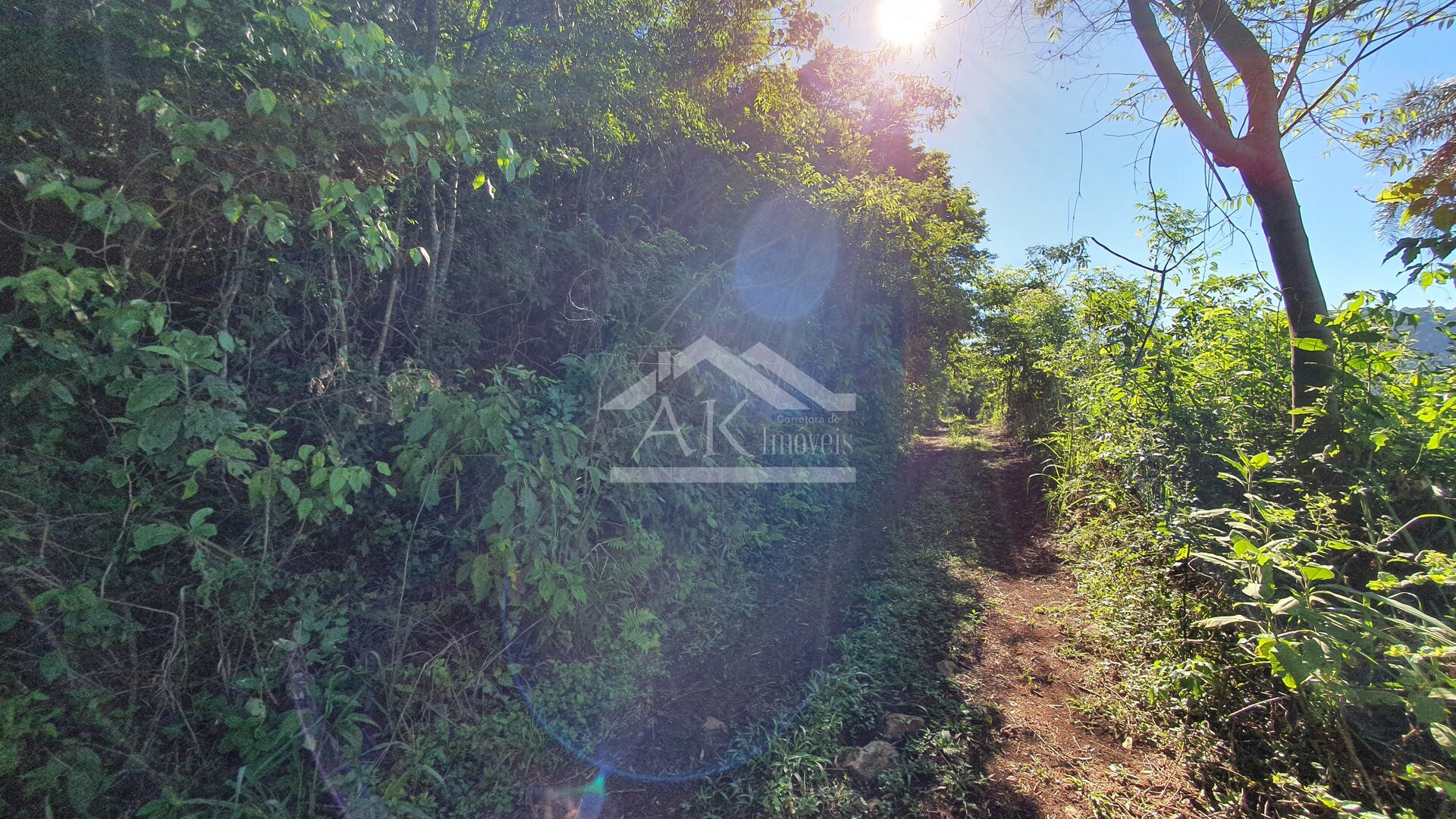 Área de terras com córregos à venda em Linha Nova na Serra Gaúcha