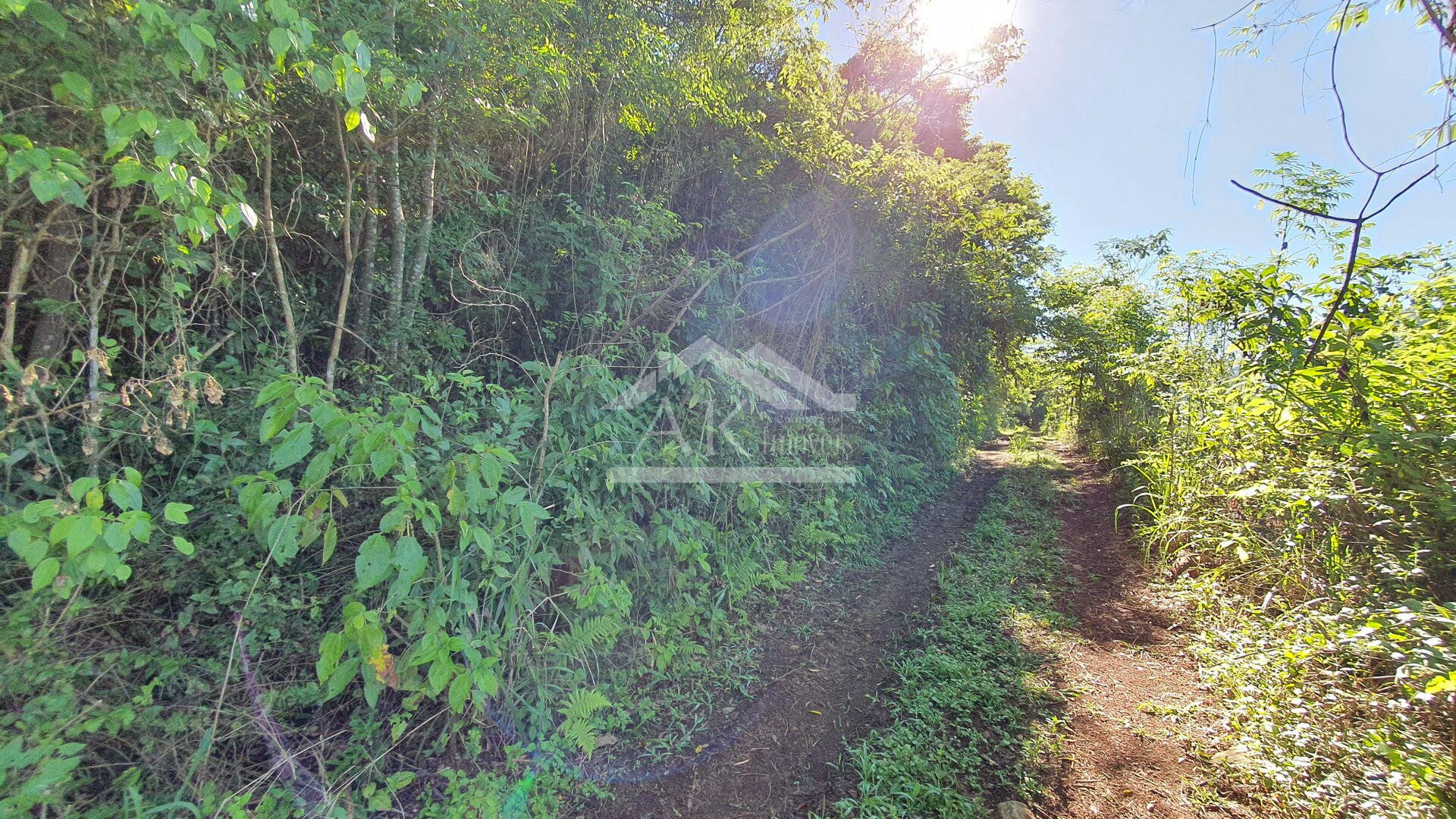 Área de terras com córregos à venda em Linha Nova na Serra Gaúcha