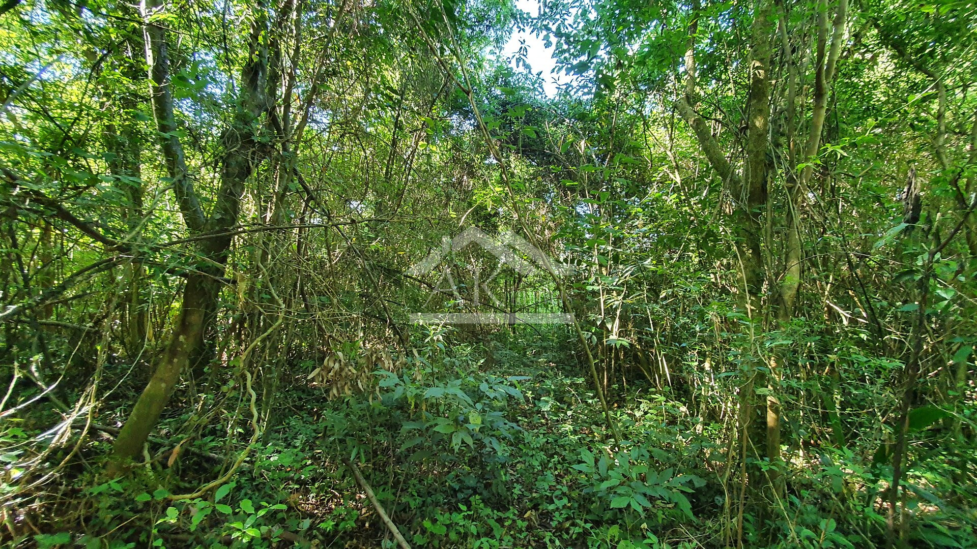 Área de terras com córregos à venda em Linha Nova na Serra Gaúcha
