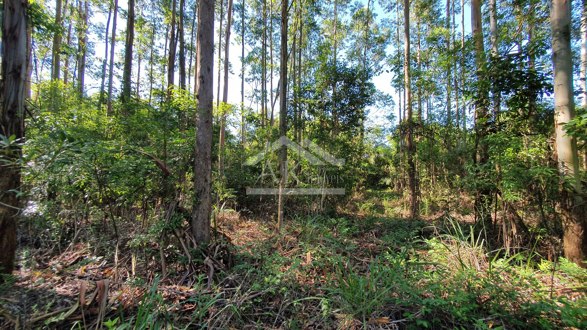 Área de terras com córregos à venda em Linha Nova na Serra Gaúcha