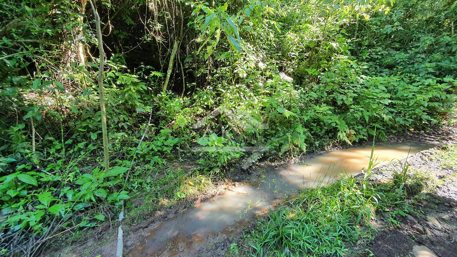 Área de terras com córregos à venda em Linha Nova na Serra Gaúcha