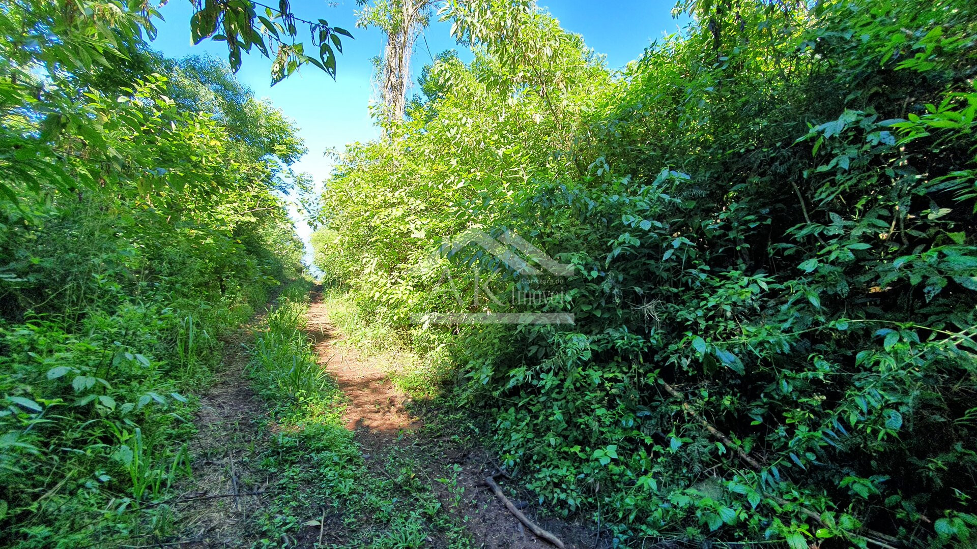 Área de terras com córregos à venda em Linha Nova na Serra Gaúcha